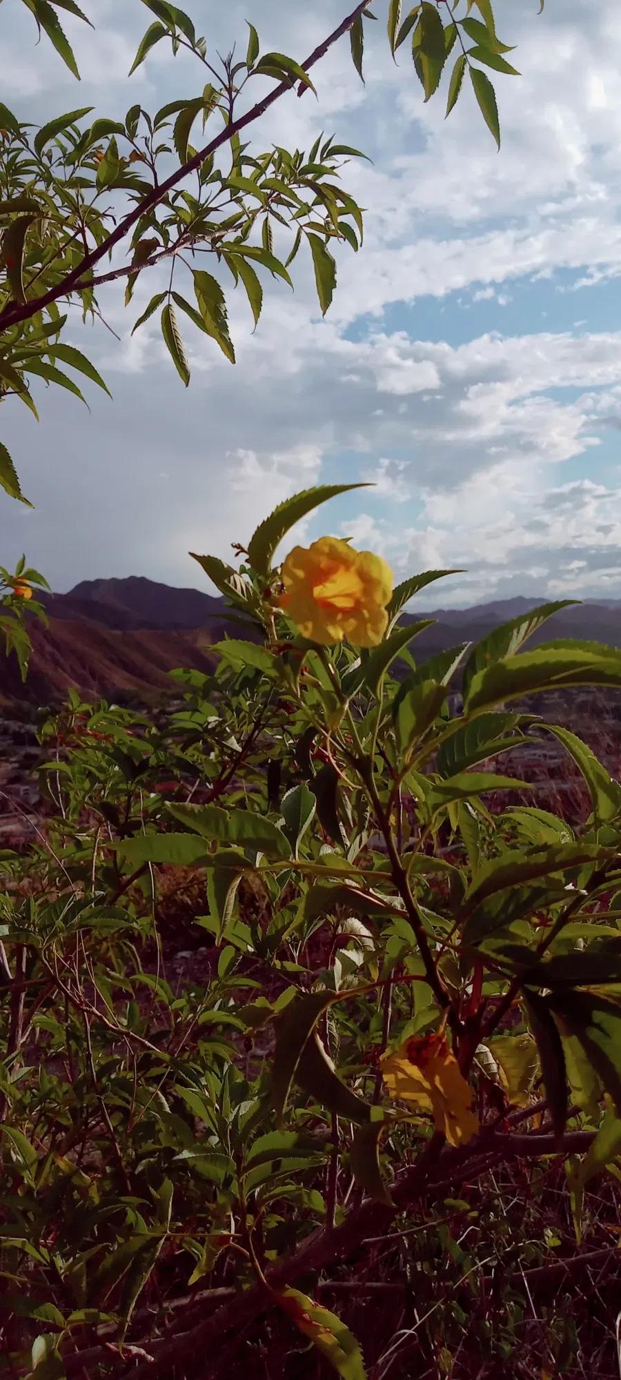 ppjqWqd7COa0Jqx8_20240519_175556_HDR.webp