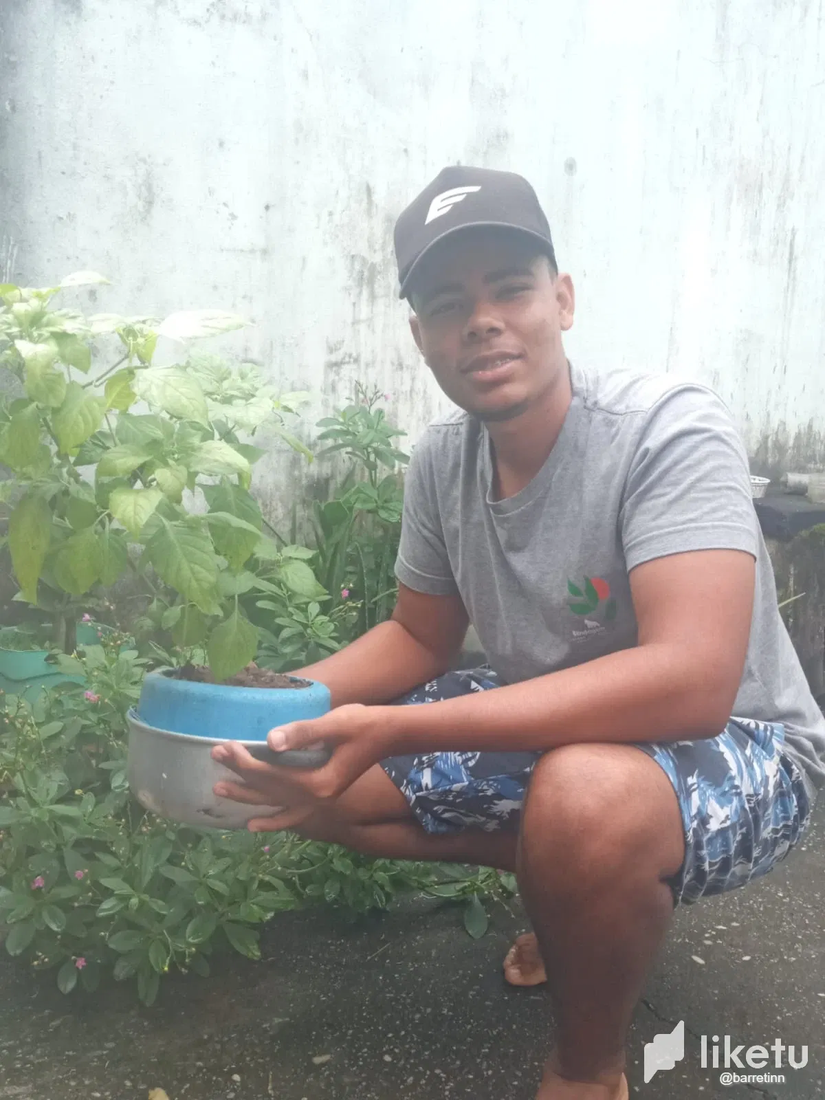 clkl5lspp00e115sz3fdvh04x_pimenta_2.webp