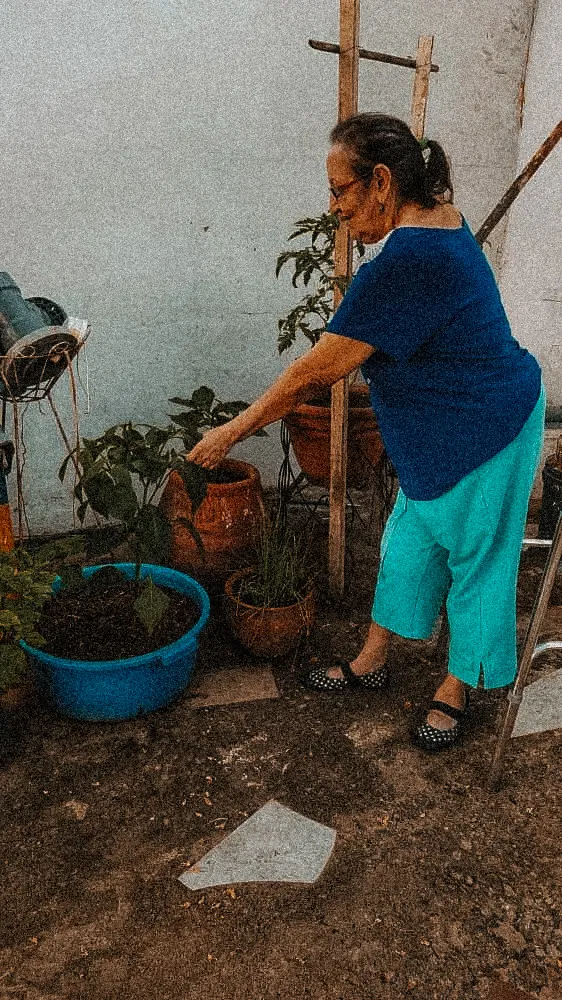 My sweet little Garden