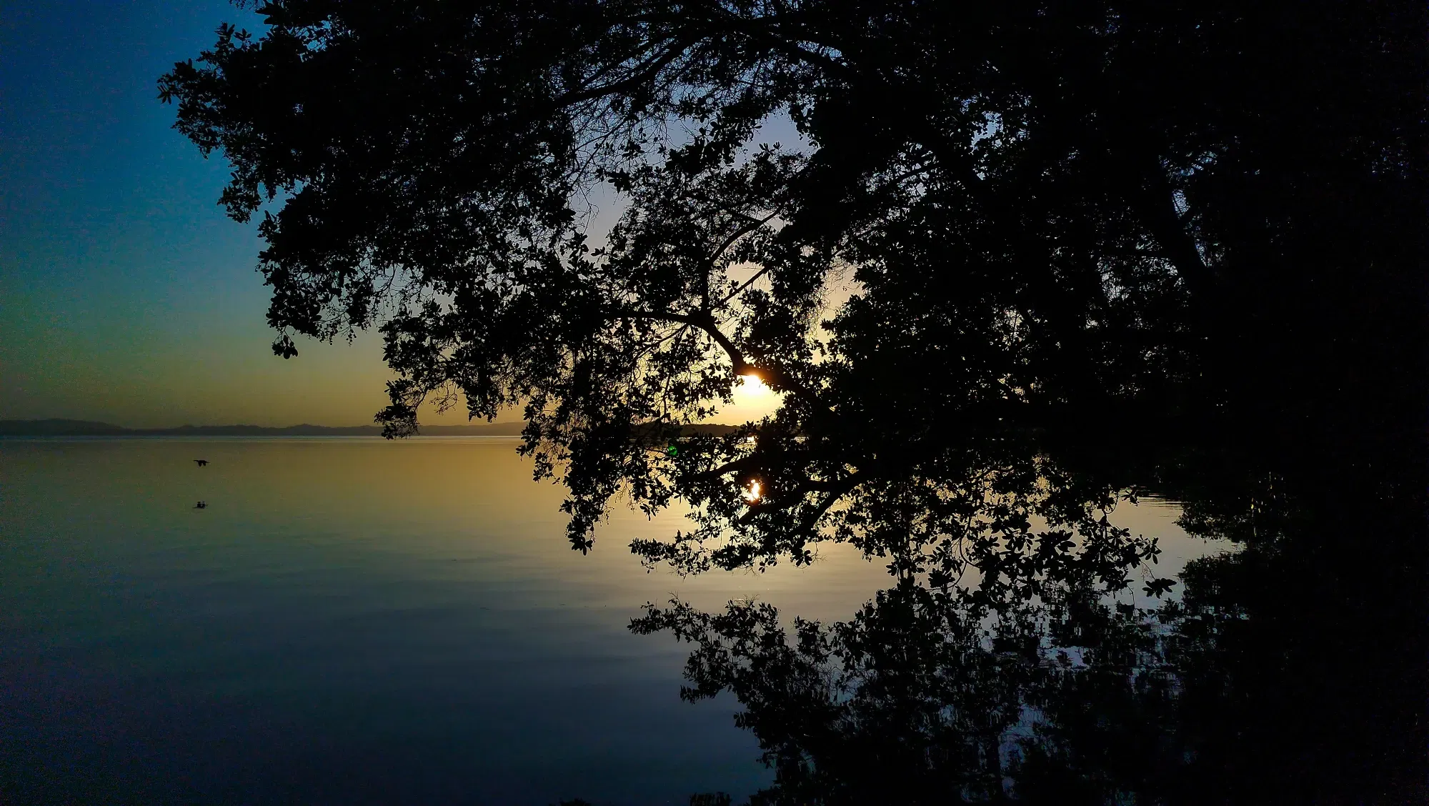 6oSDaKNcD1akLUiG_IMG_20250730_062106.webp