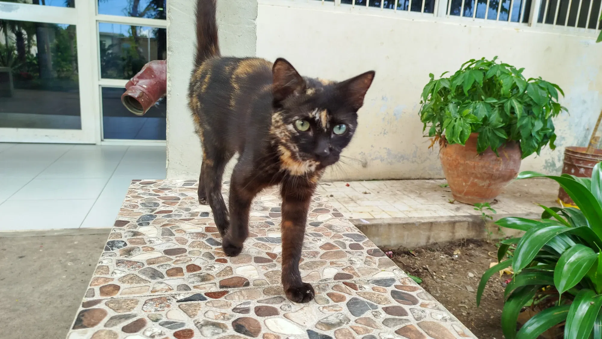 NvZKtHRbiiZOpgWT_IMG_20250815_133753.webp