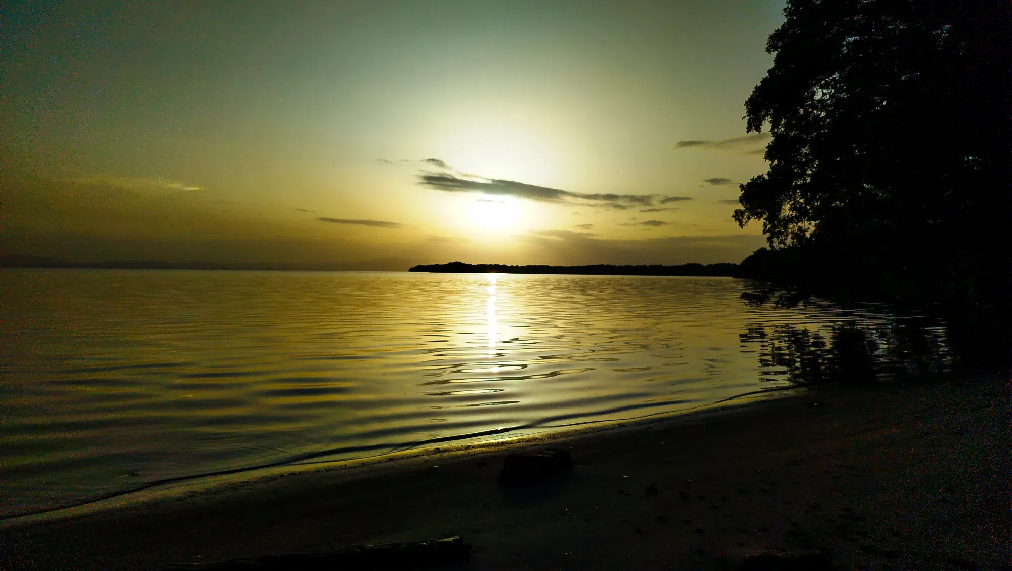 VZf9W3eupLWUKEIj_IMG_20250718_062851.webp