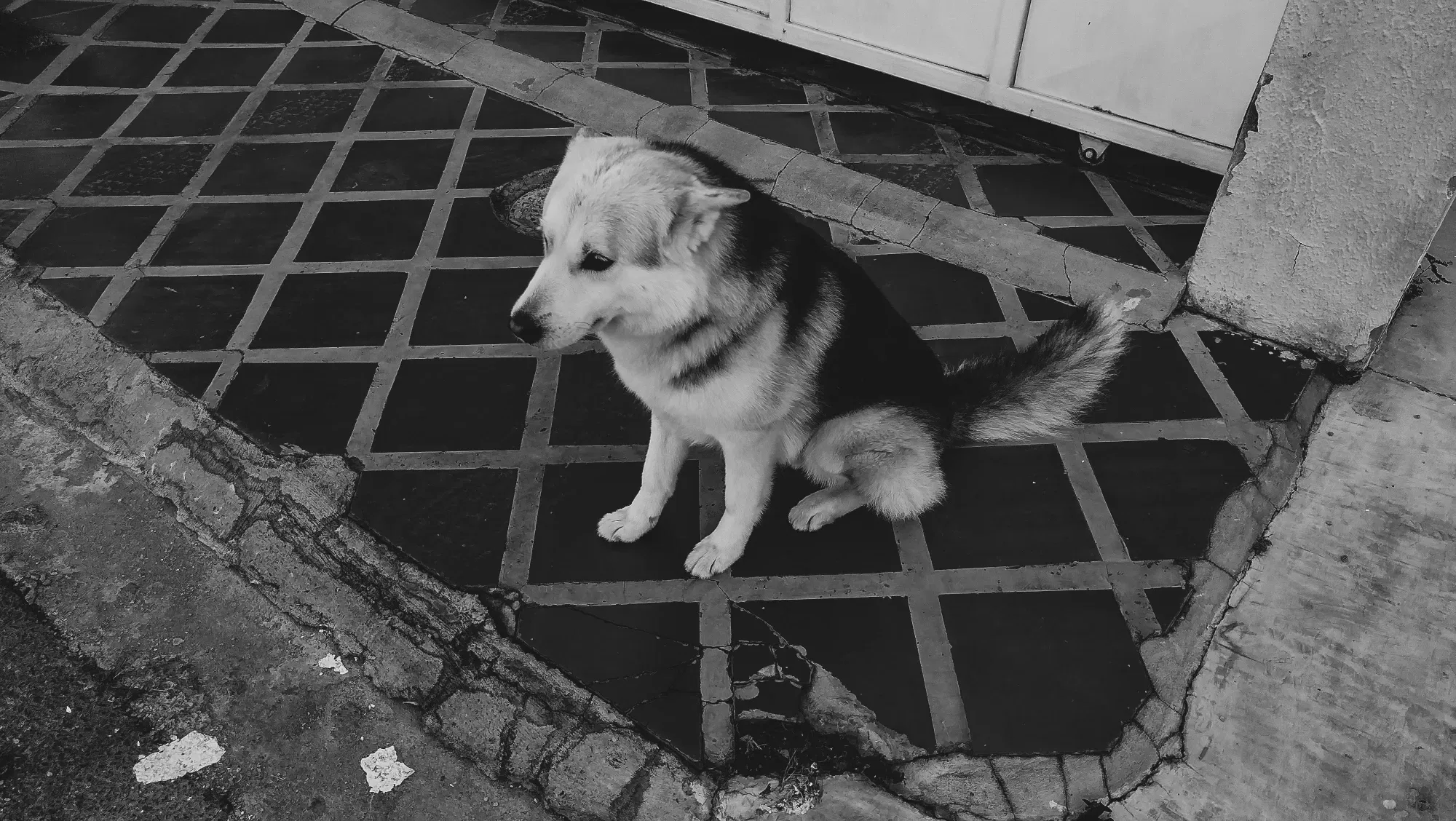 dS81g5e8pu7NsY5x_IMG_20250915_064132.webp