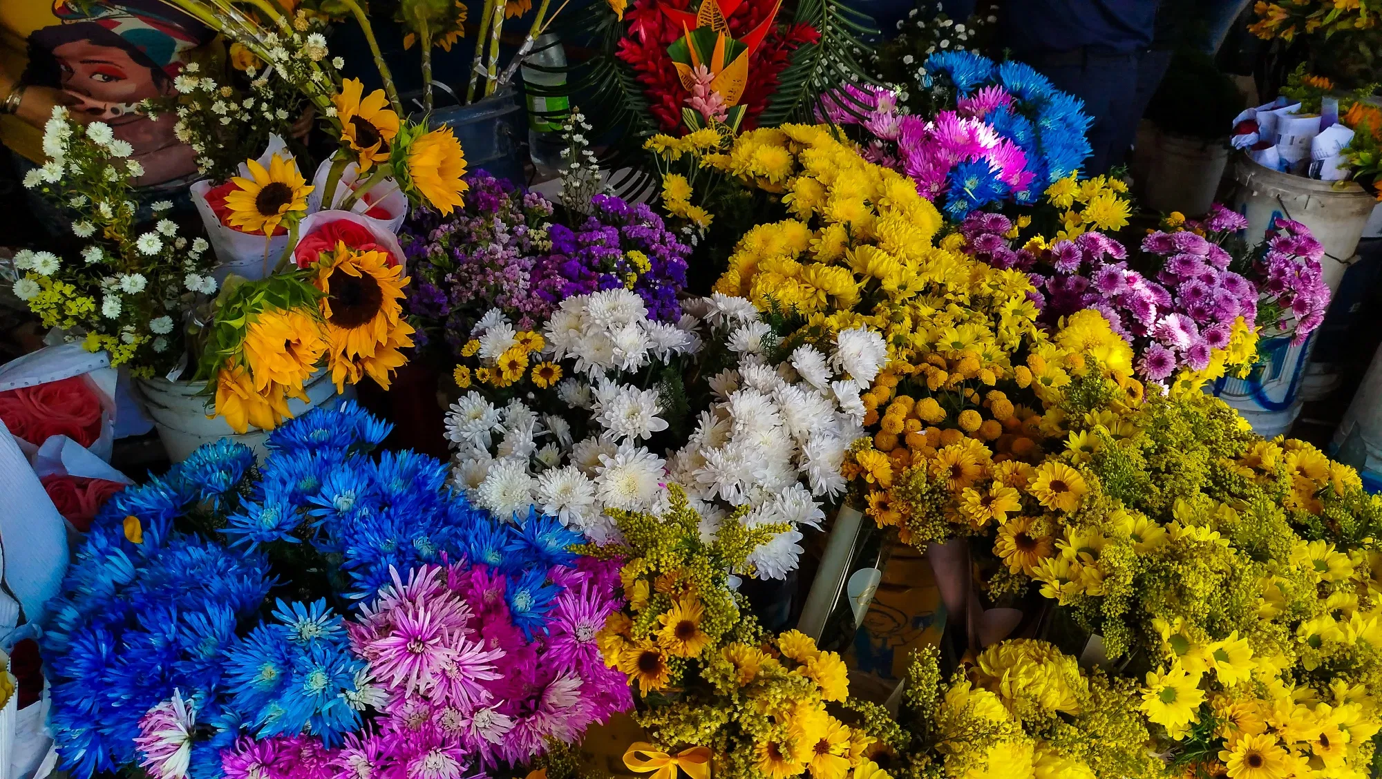 x9yTCK6OGQ3oFECE_IMG_20250921_113003.webp
