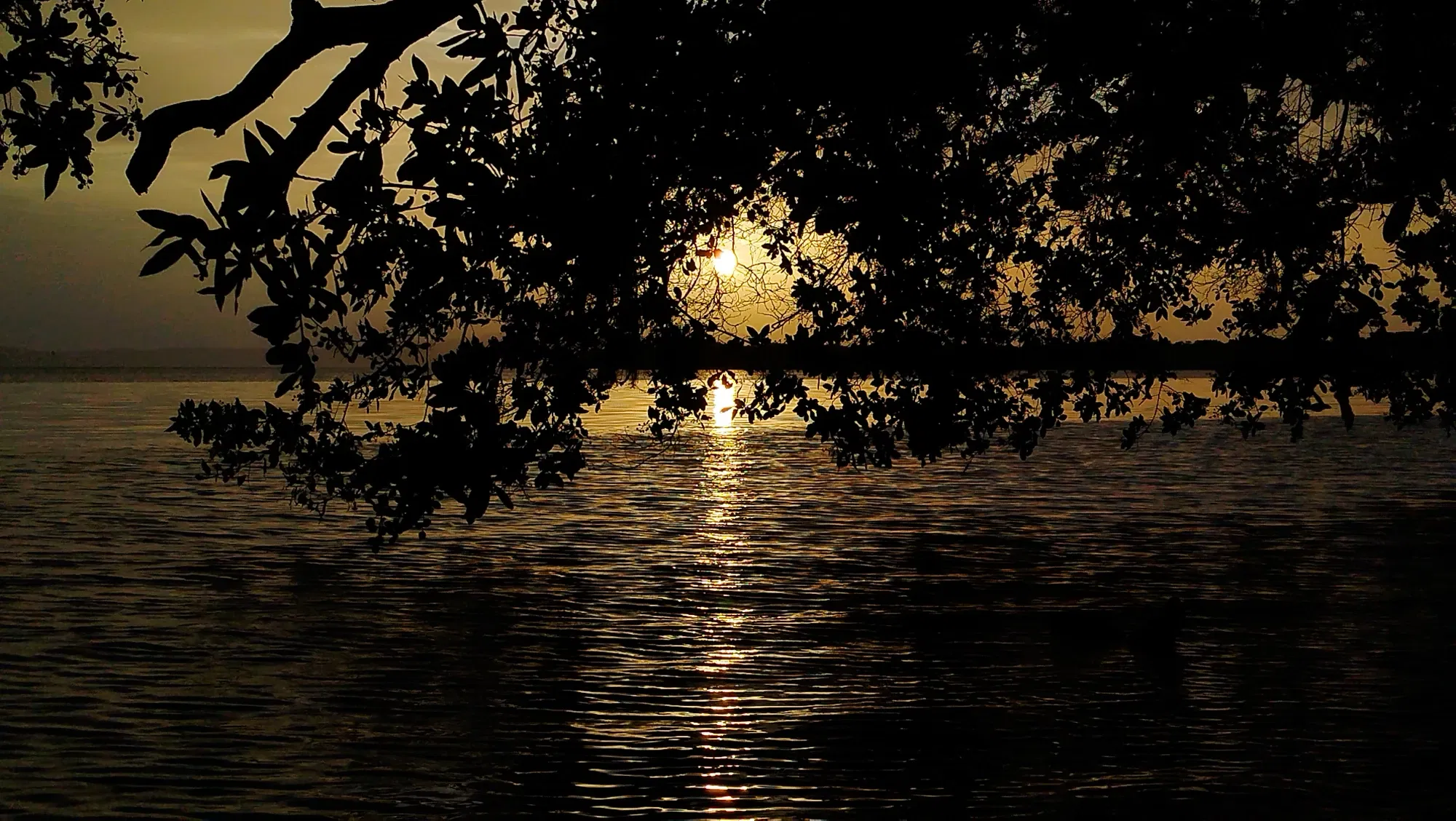 zb2Nk5Q0Ikr7Jsyt_IMG_20250627_061318.webp