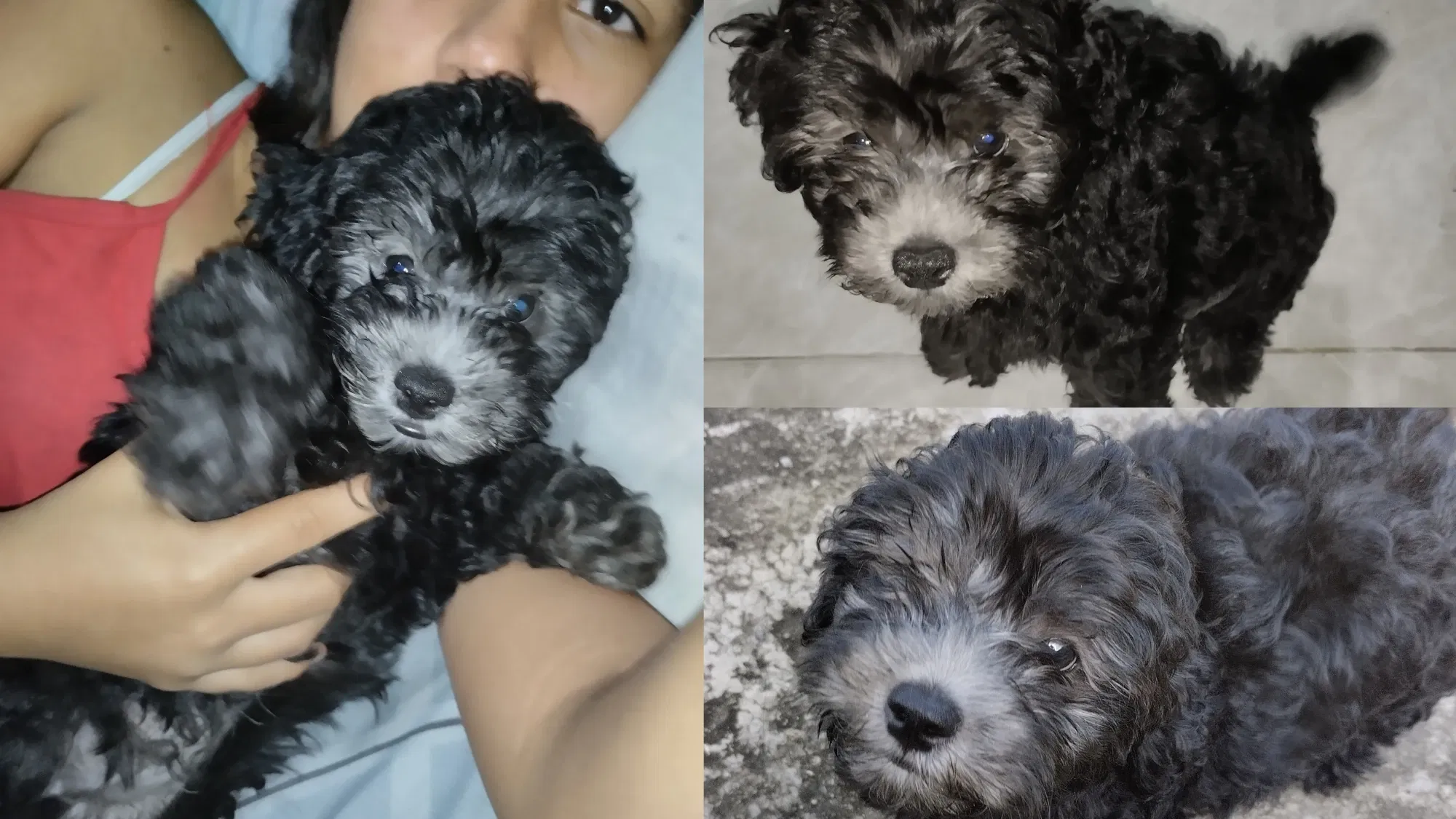 6fUBacJdZWlHAb9P_InCollage_20250728_144113911.webp