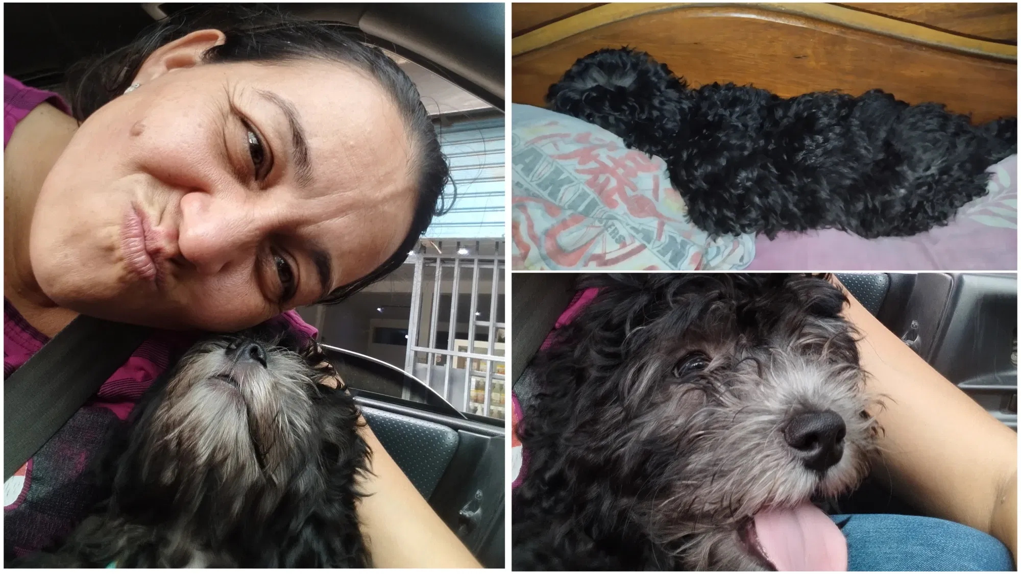 nZZ1G3lb1Wb1MAmY_InCollage_20250825_192603589.webp