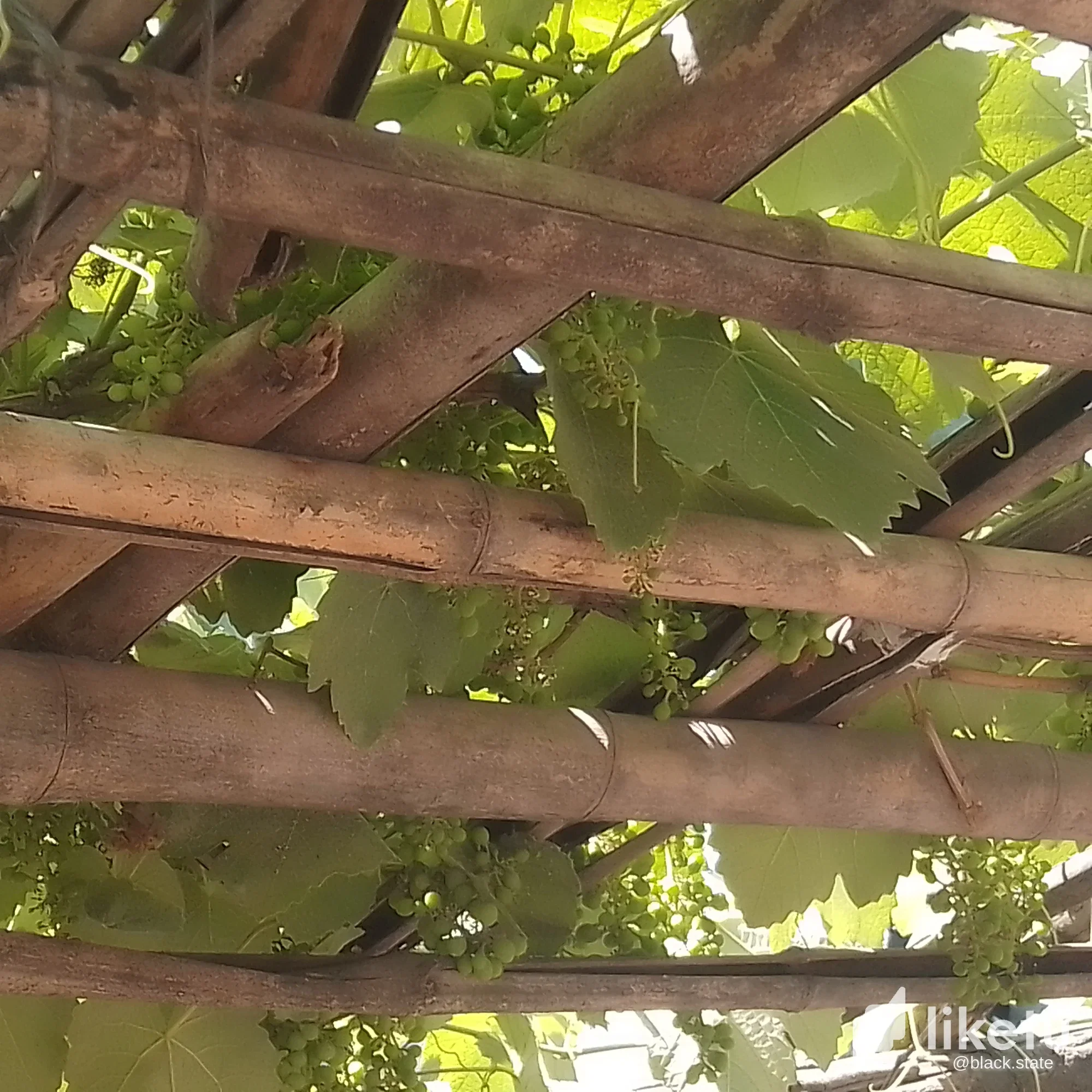 clodqpgn008ev0xsz1lqpe6pt_IMG_20231029_142207_644.webp