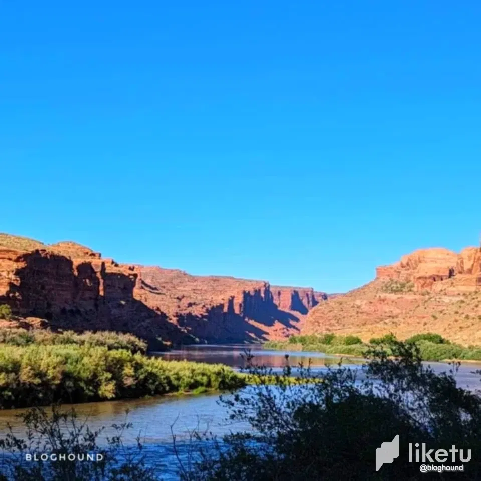 dTiJJwLRWnuaLgS9_3.webp