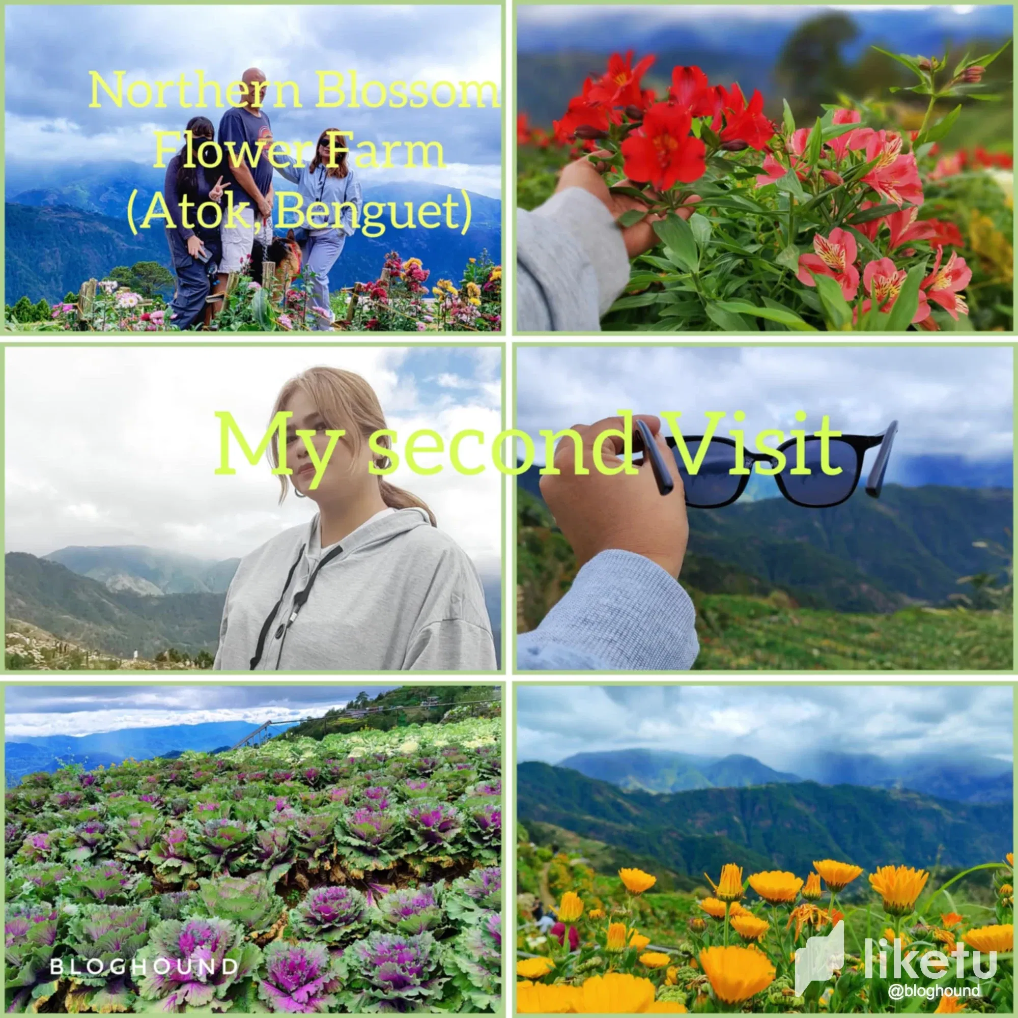 lf3QJiQKRRAnkhu3_1.webp