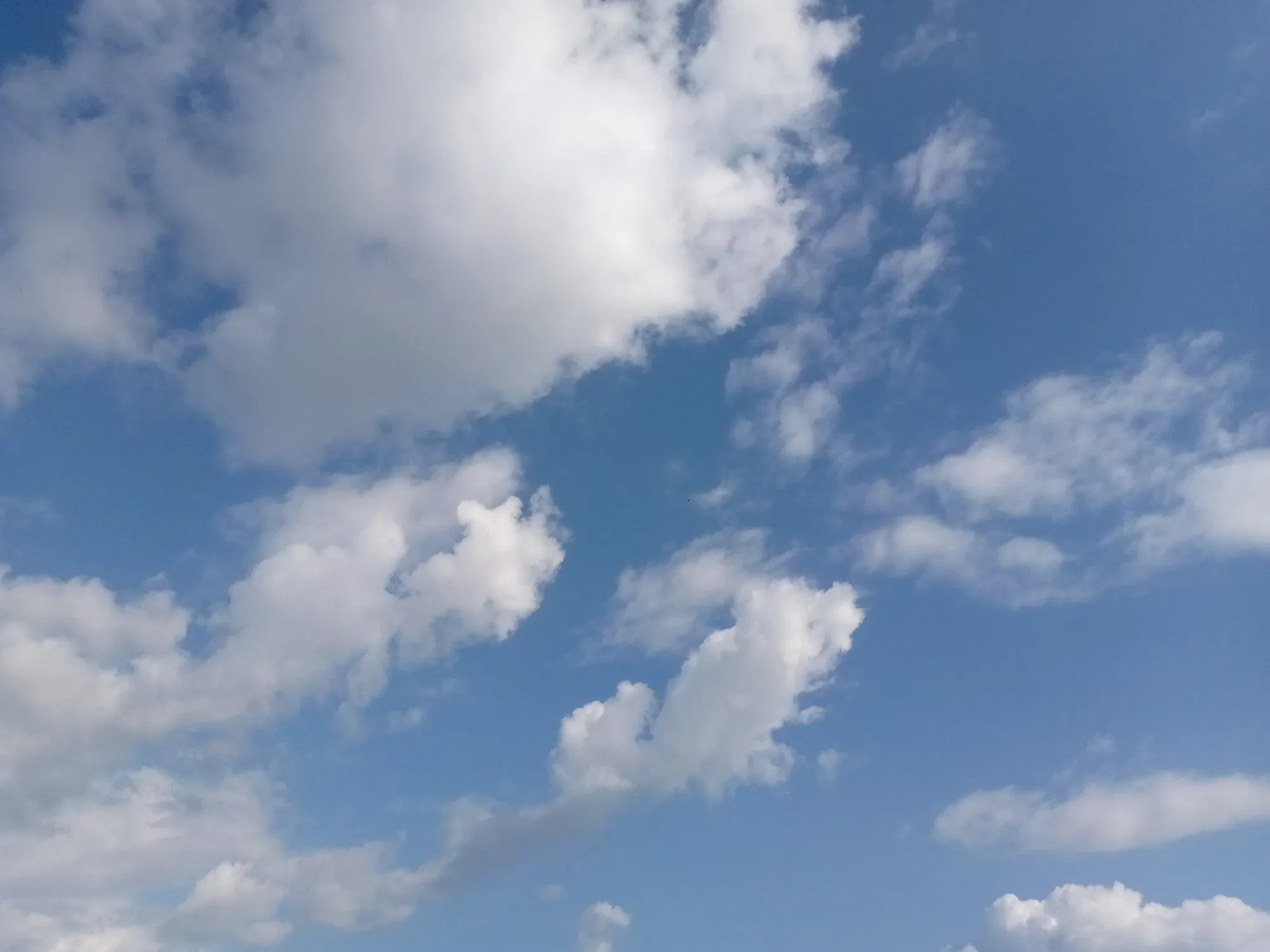 S9Y85yu8Jh30WlHh_IMG_20240626_161254_456.webp