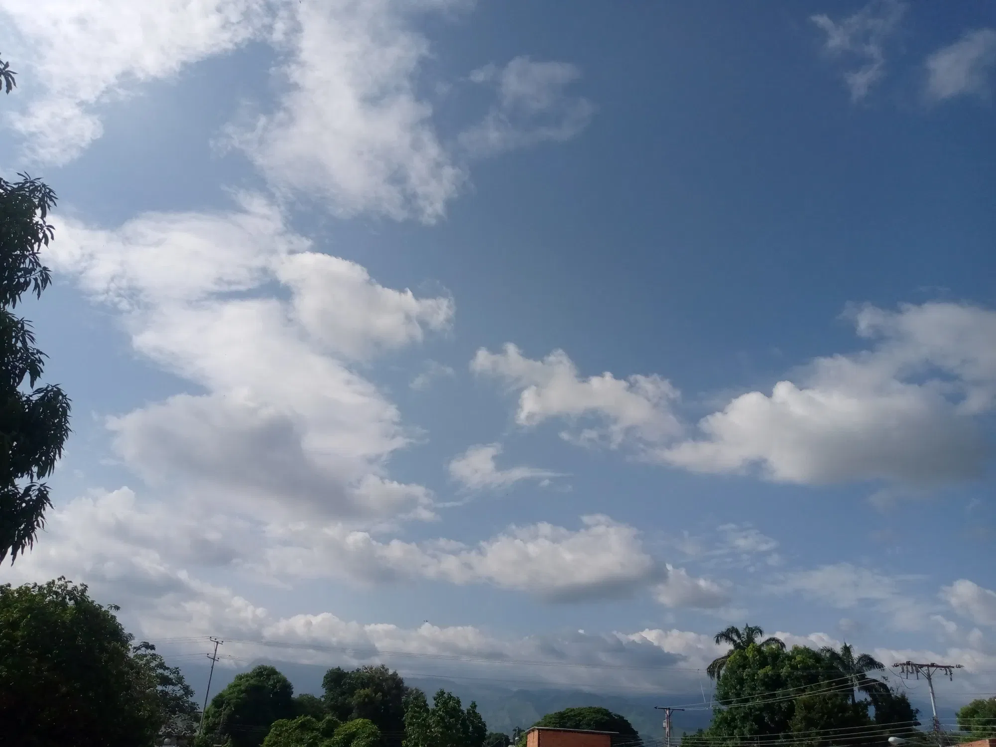 hwYJ1cIHZMGoW0ZR_IMG_20240626_161239_432.webp
