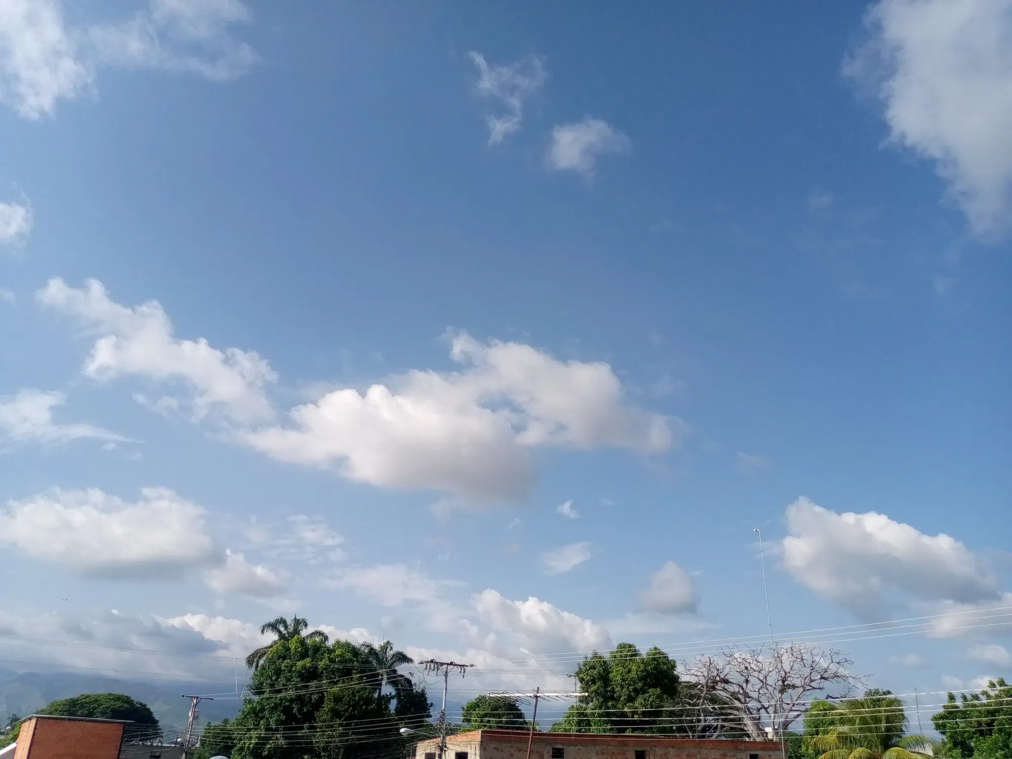 jFgdyFRLMBiPAoEf_IMG_20240626_161244_426.webp