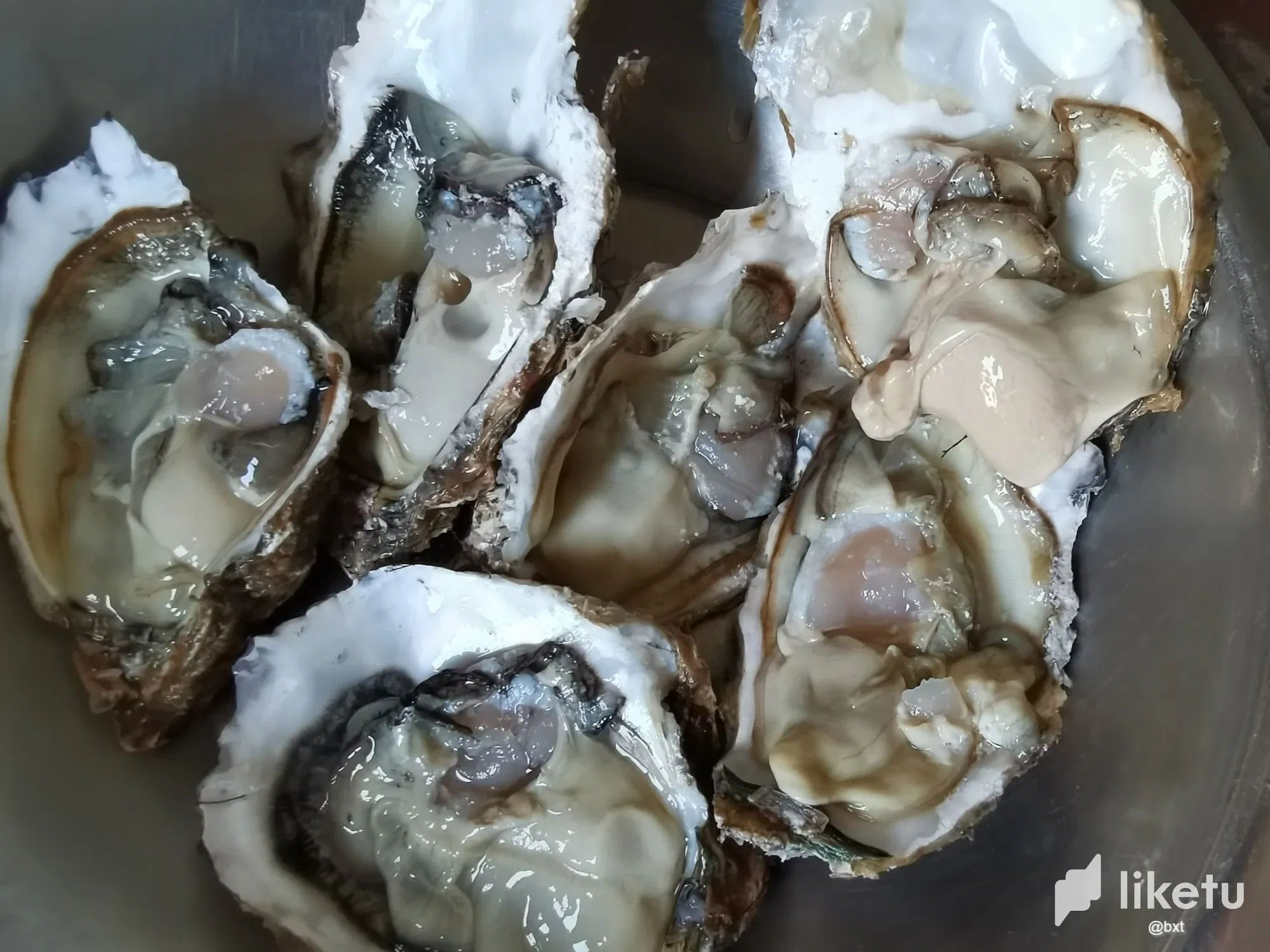 VsId4YwPX7U2xlIX_6.webp