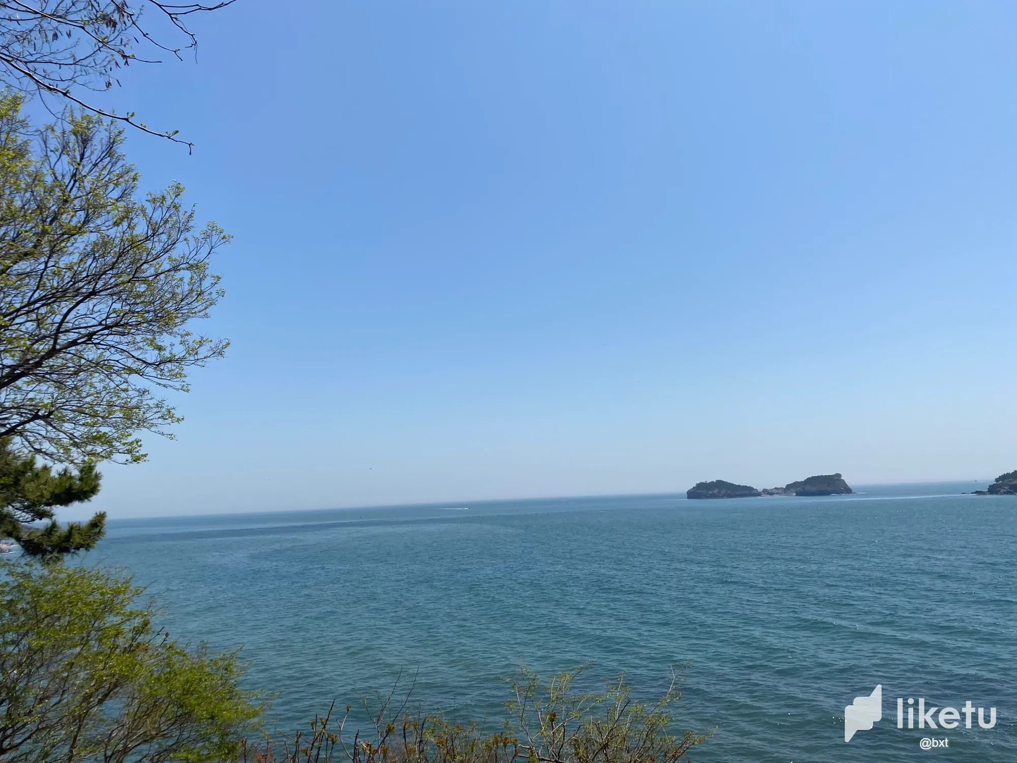 bRCRCj8jMWLGWqWV_2.webp