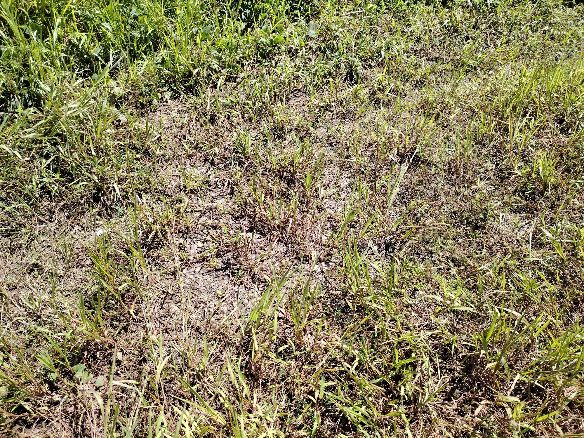 DEoJgXfXdf0p75AU_1000106927.webp