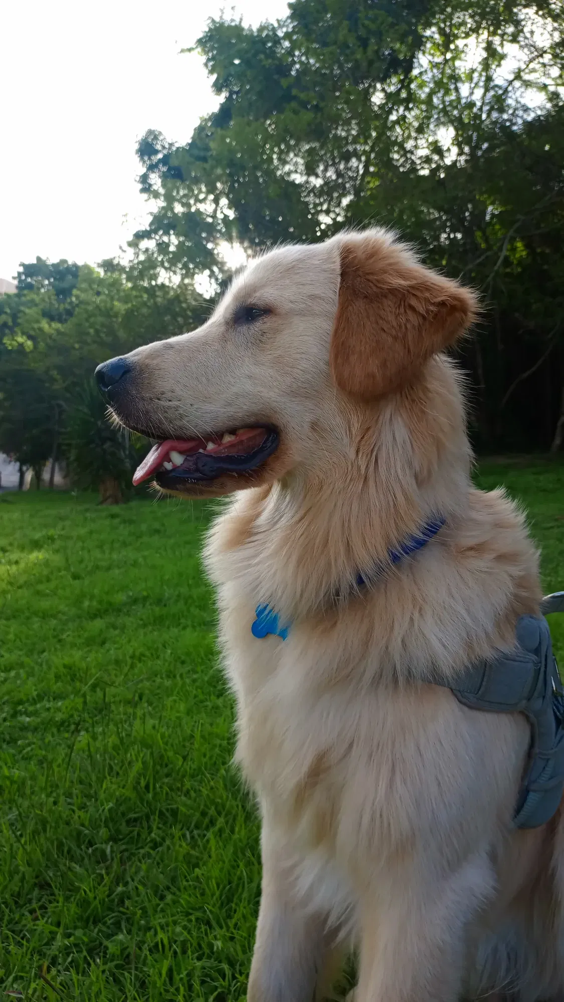 ZutDFYArYLIxzF2v_1000674254.webp