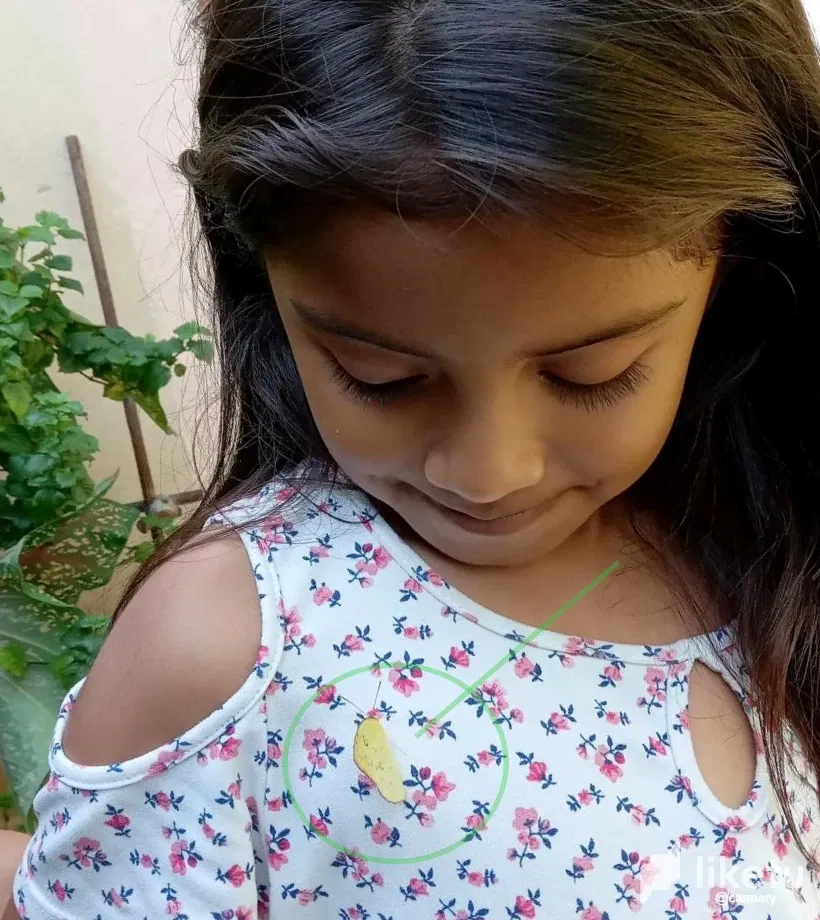 4y8BZRHvLv9mnRjd_1_8.webp/
