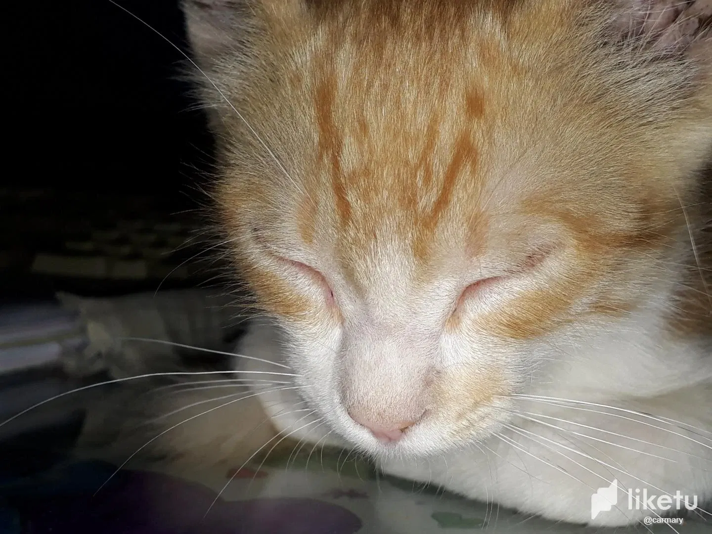 7VjKctSqU0ss2oQs_20220317_003038.webp
