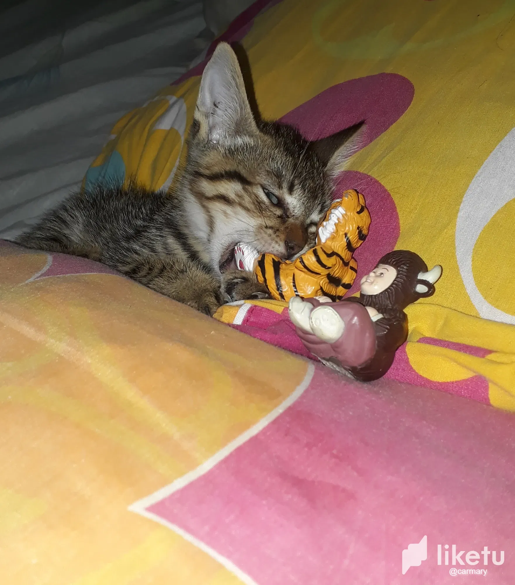 9aPsbzyx1xVuMDPE_20211012_190207.webp