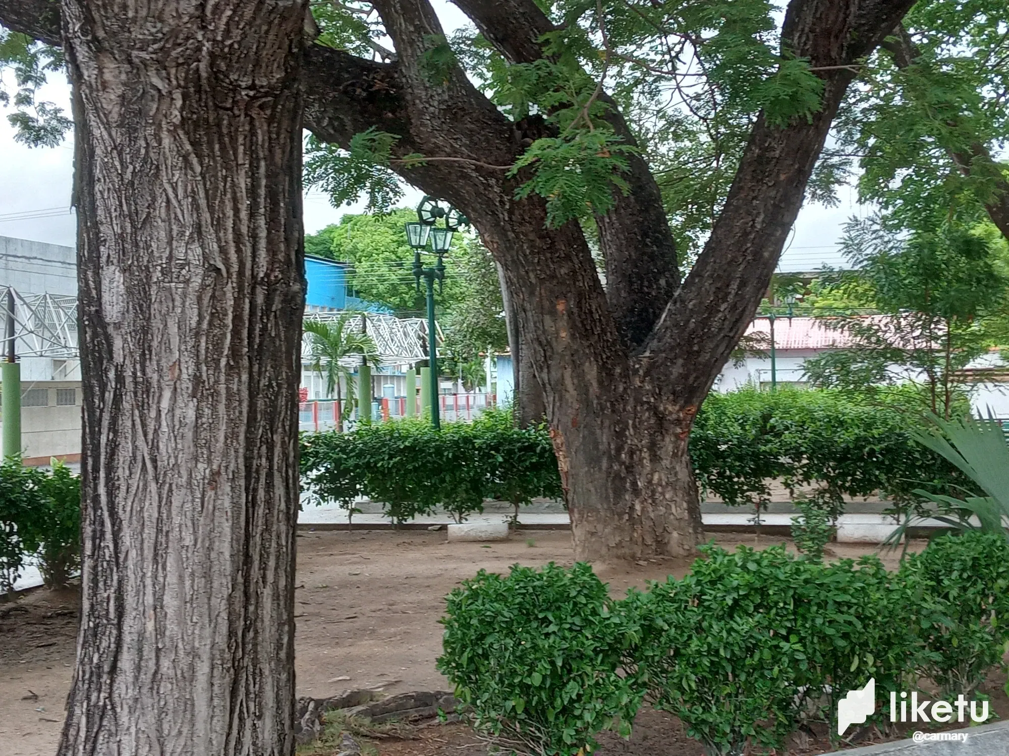 f4nL2xbdc3Y9MhLv_20250503_073716.webp