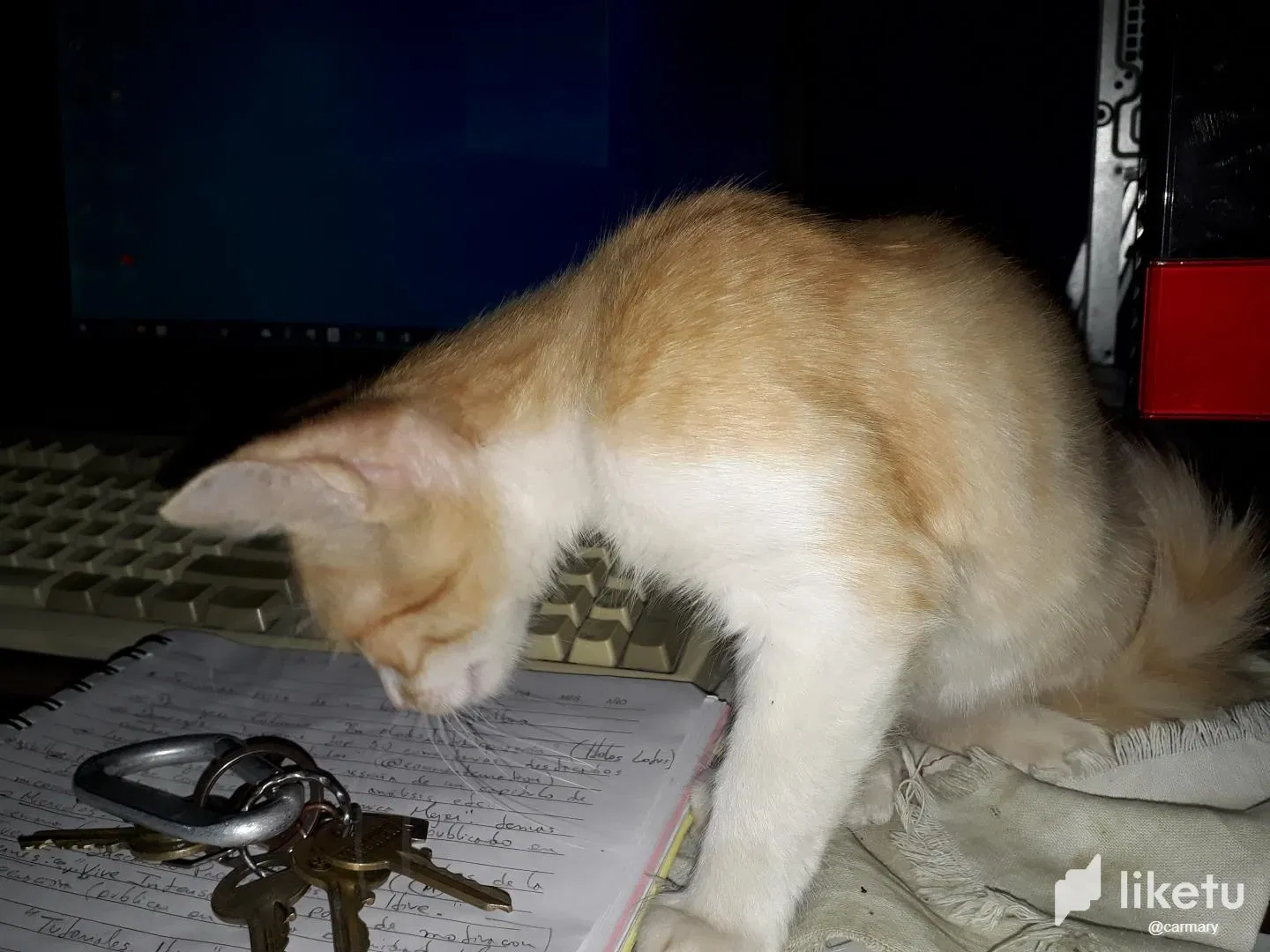 sy3o4l55uqNKAyBE_20220317_002547.webp