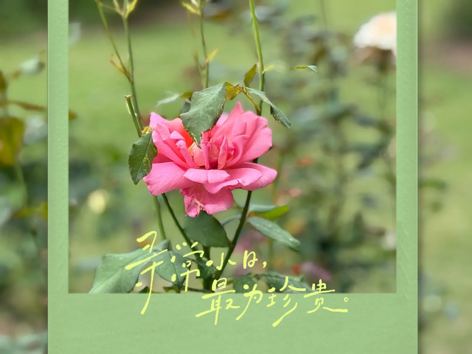 qRQzxkUYJssxSb9x_mmexport1754011913404.webp