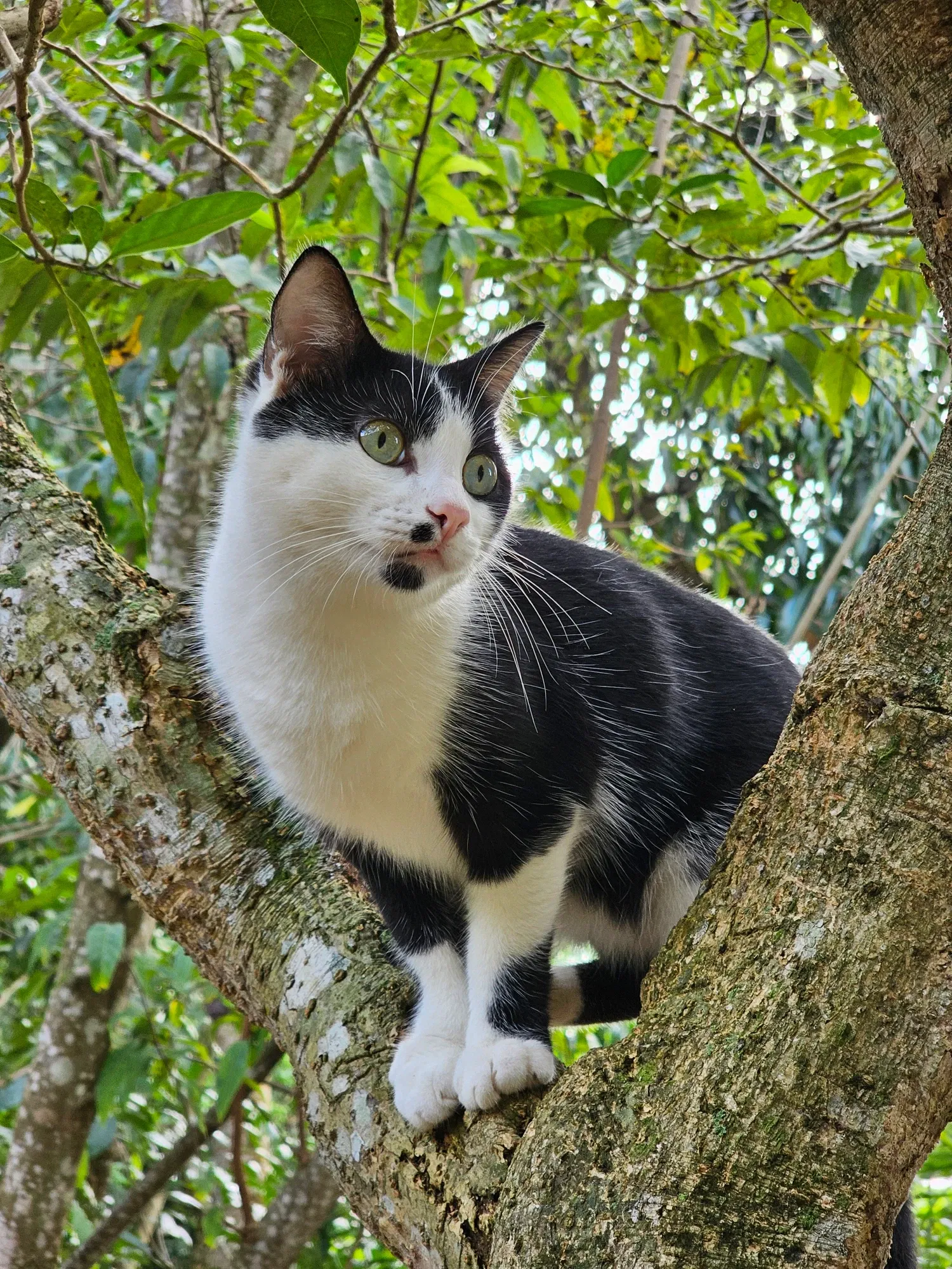 BZJWC3Vh0xdiB5ea_1000109698.webp