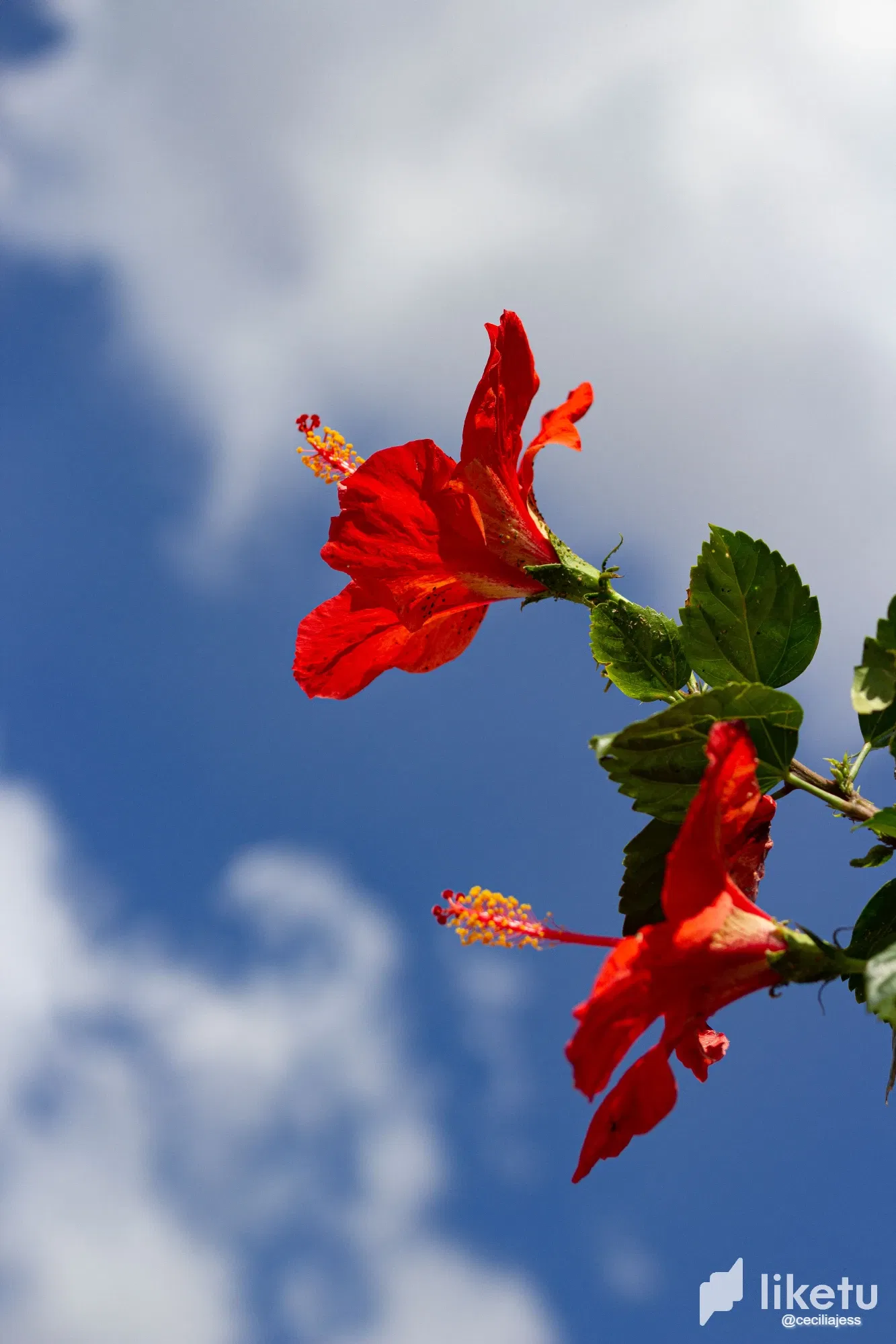 E8qEGjWsxIaKC8bS_IMG_4082.webp