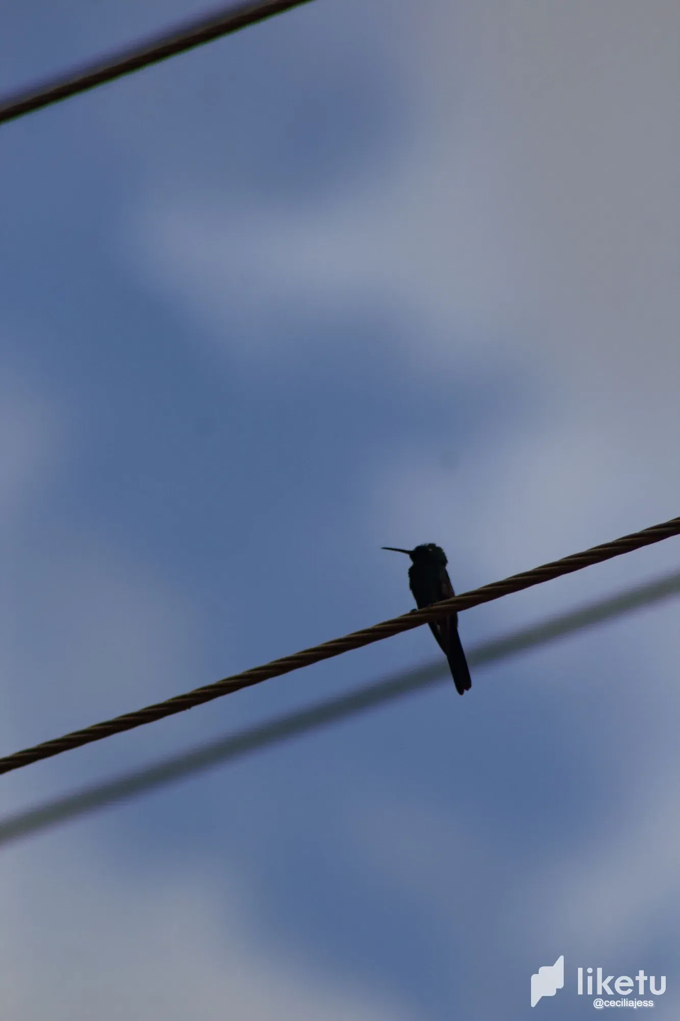 H6frmIk1ruq3VREE_IMG_3931.webp