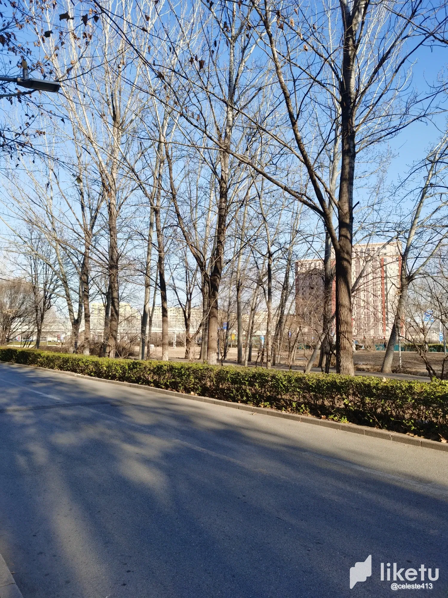 RfhxwyjE73SG3xT2_IMG_20241226_150218.webp