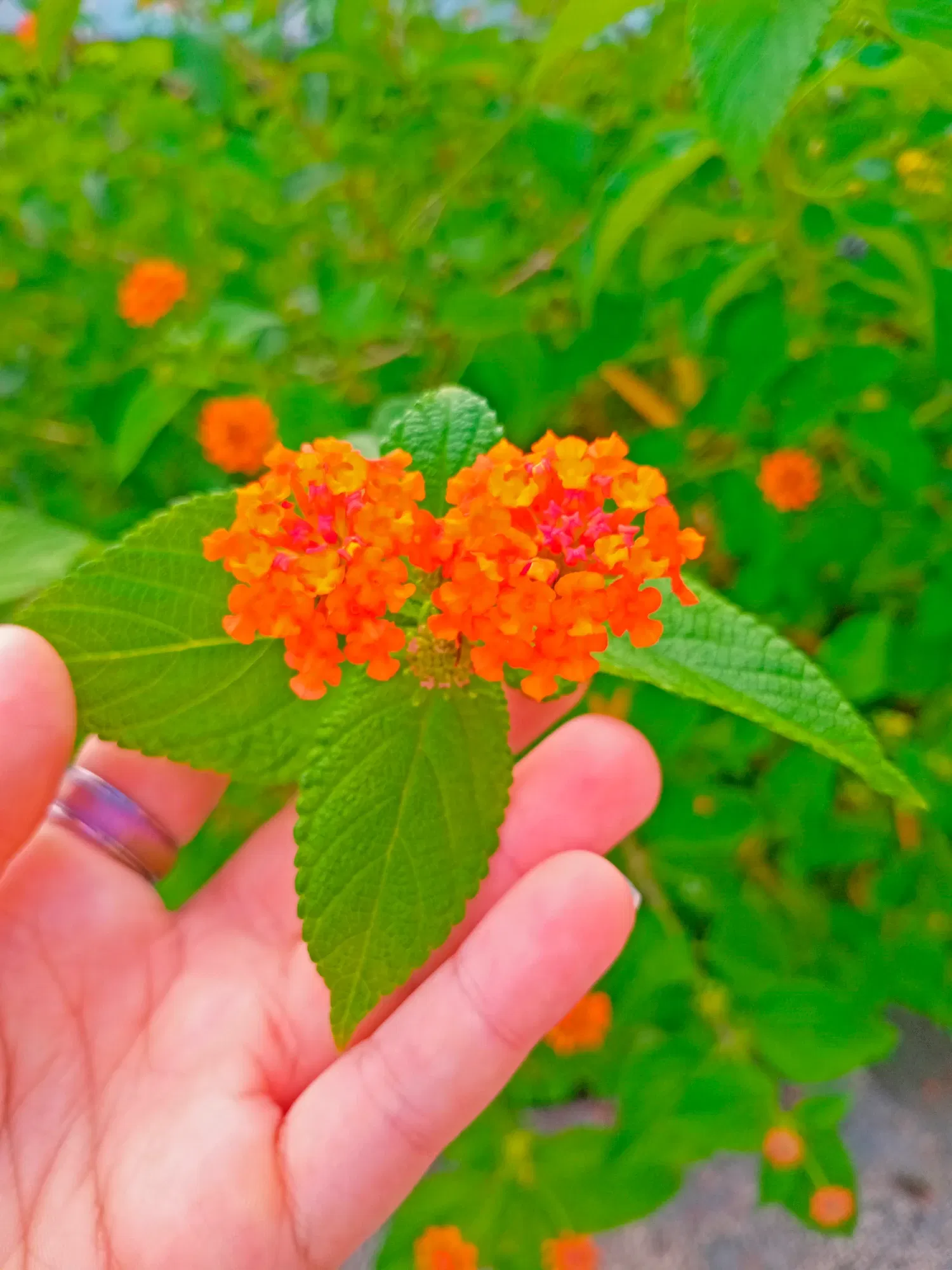 BNUpgVgsJHOfLTtK_1000851513.webp