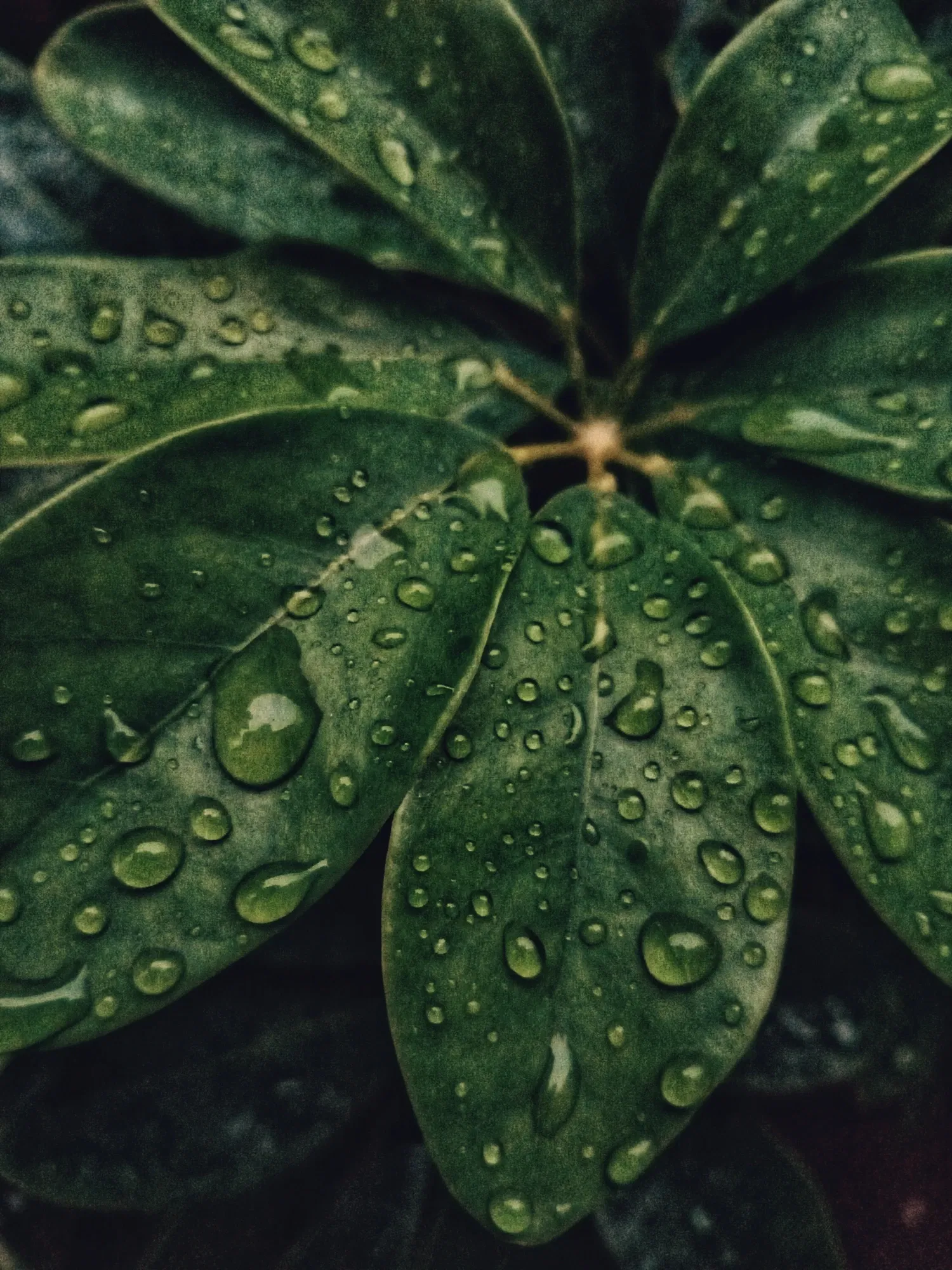 UbhU…
Payout: 7.024 HBDThe magic of the simple in photography
2025-09-03 12:18<liketuimages> <center> ![gTjIpJhsyfrymvhB_1000909201.webp