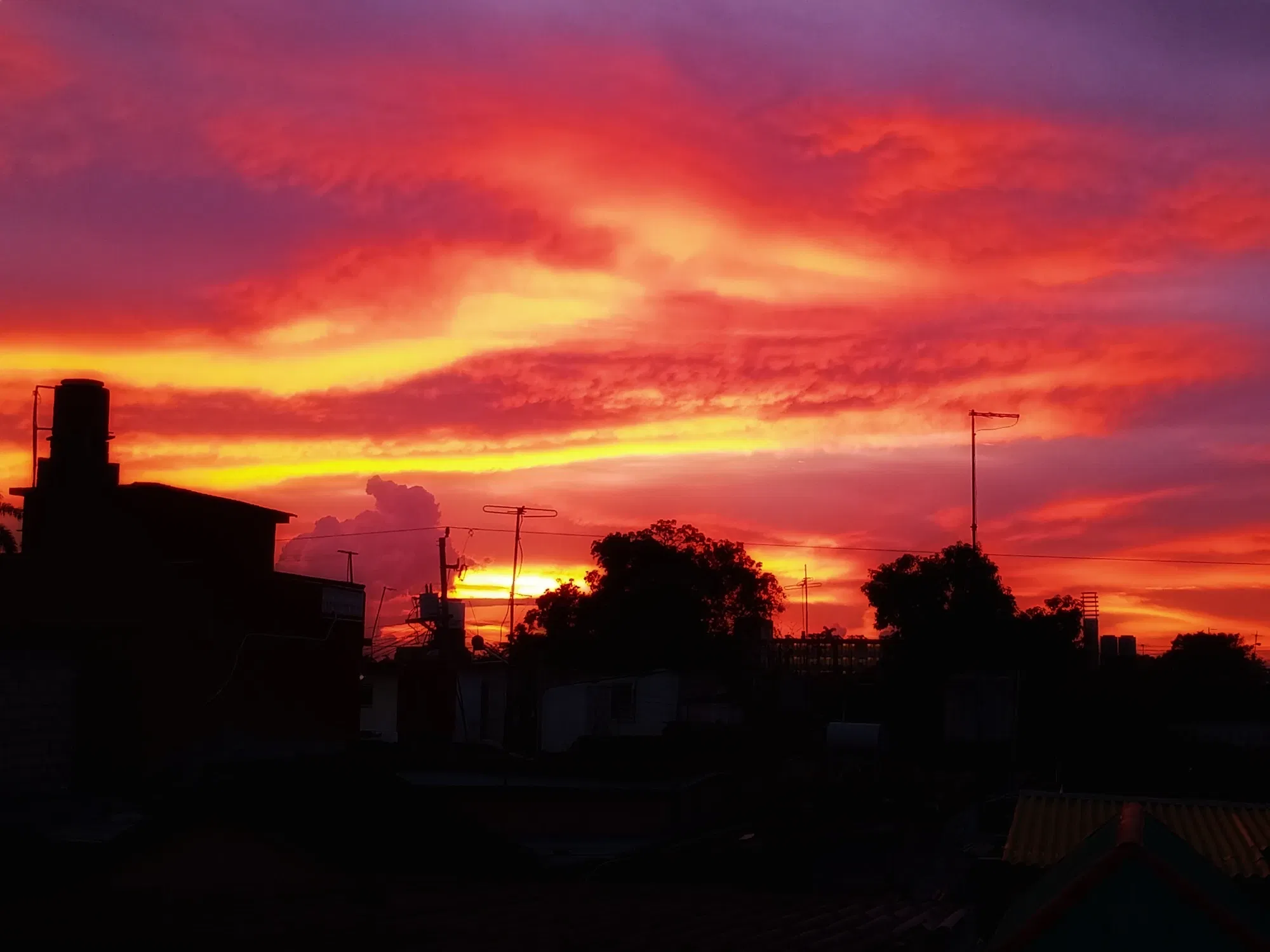 uEz6PV2RoCQ1MGOc_1001024929.webp