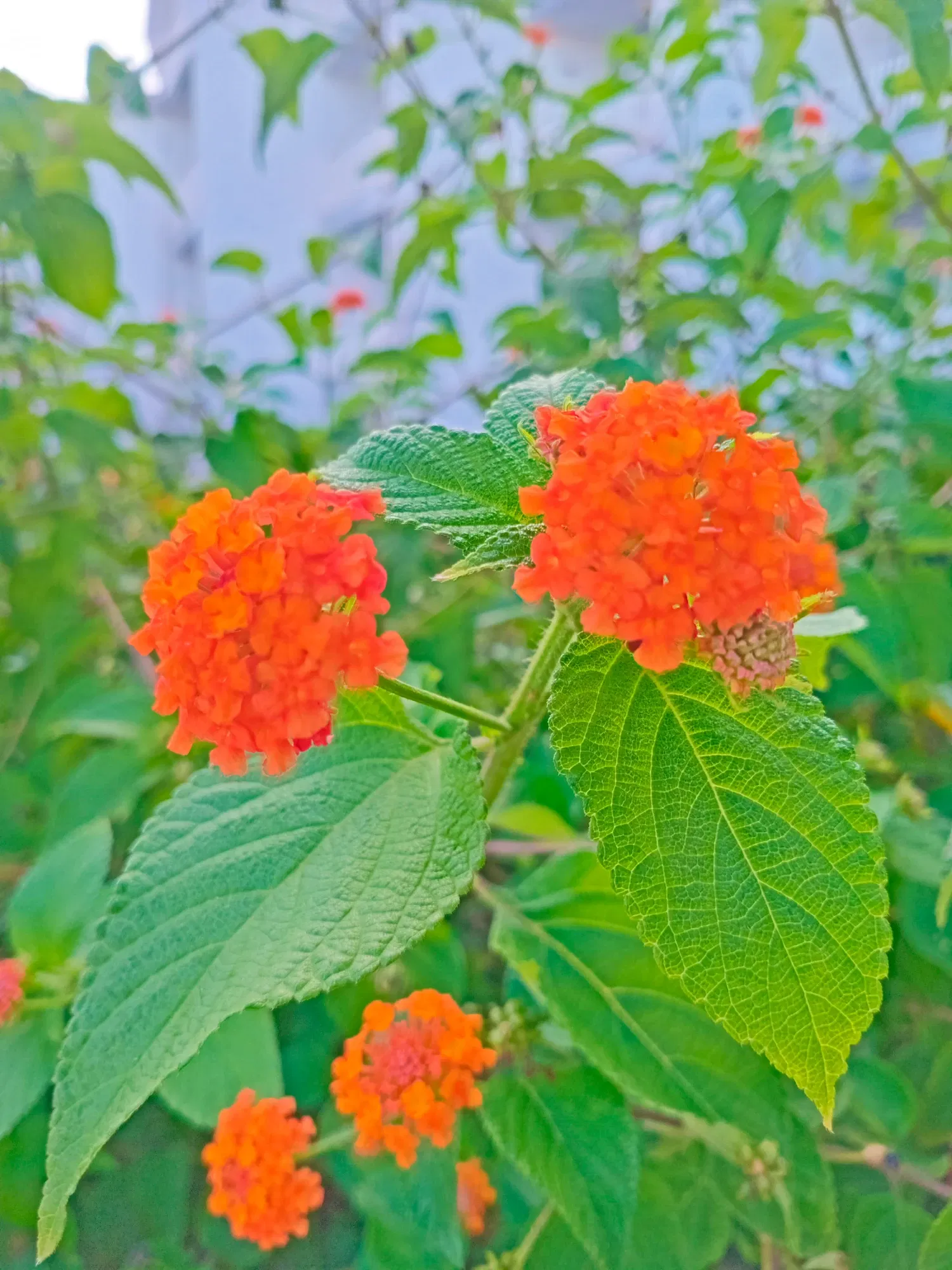 zkDf09f8UkiQM8MH_1000851505.webp