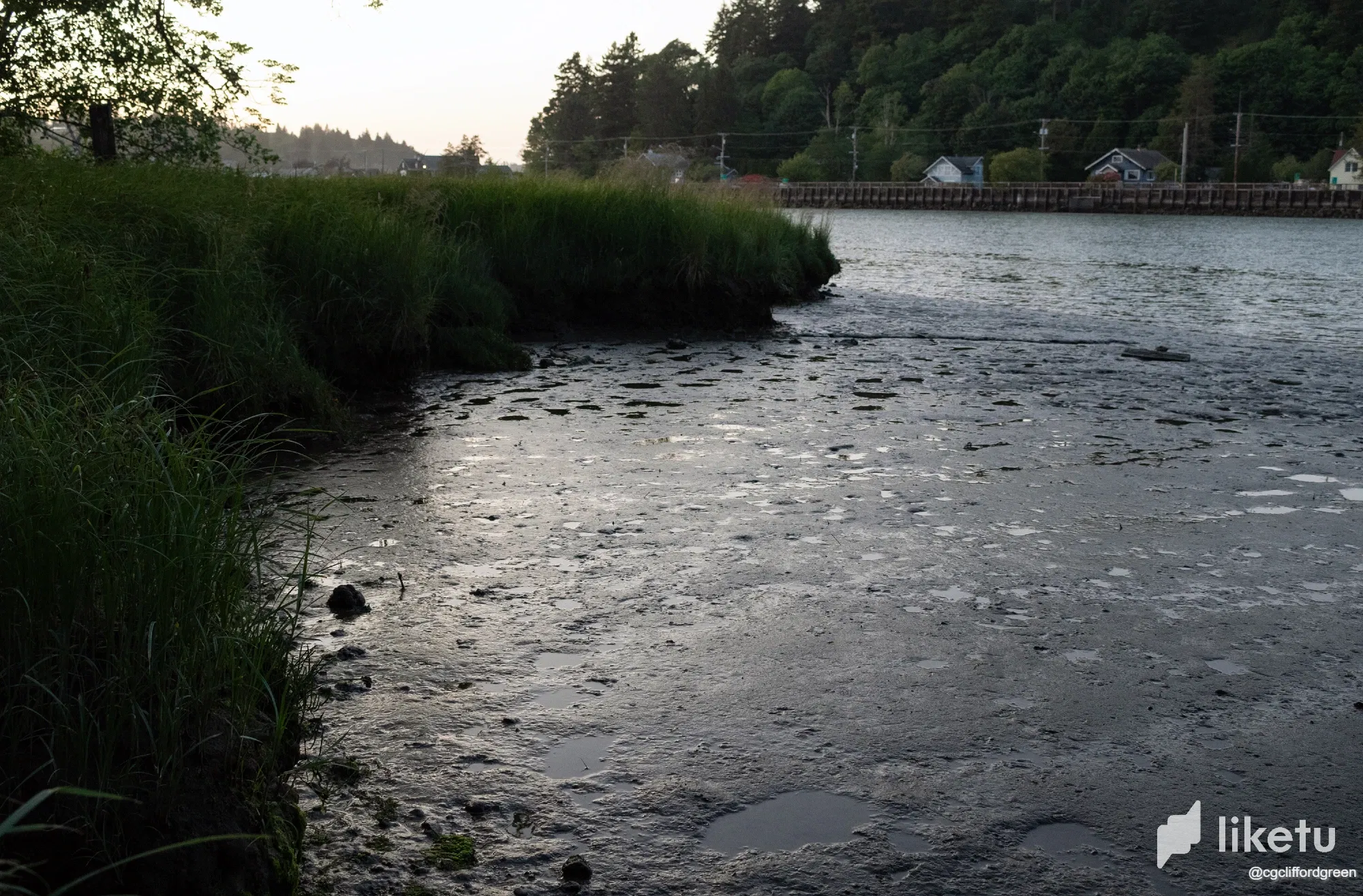 BVbopNMUz5JK3SzV_IMG_4116.webp