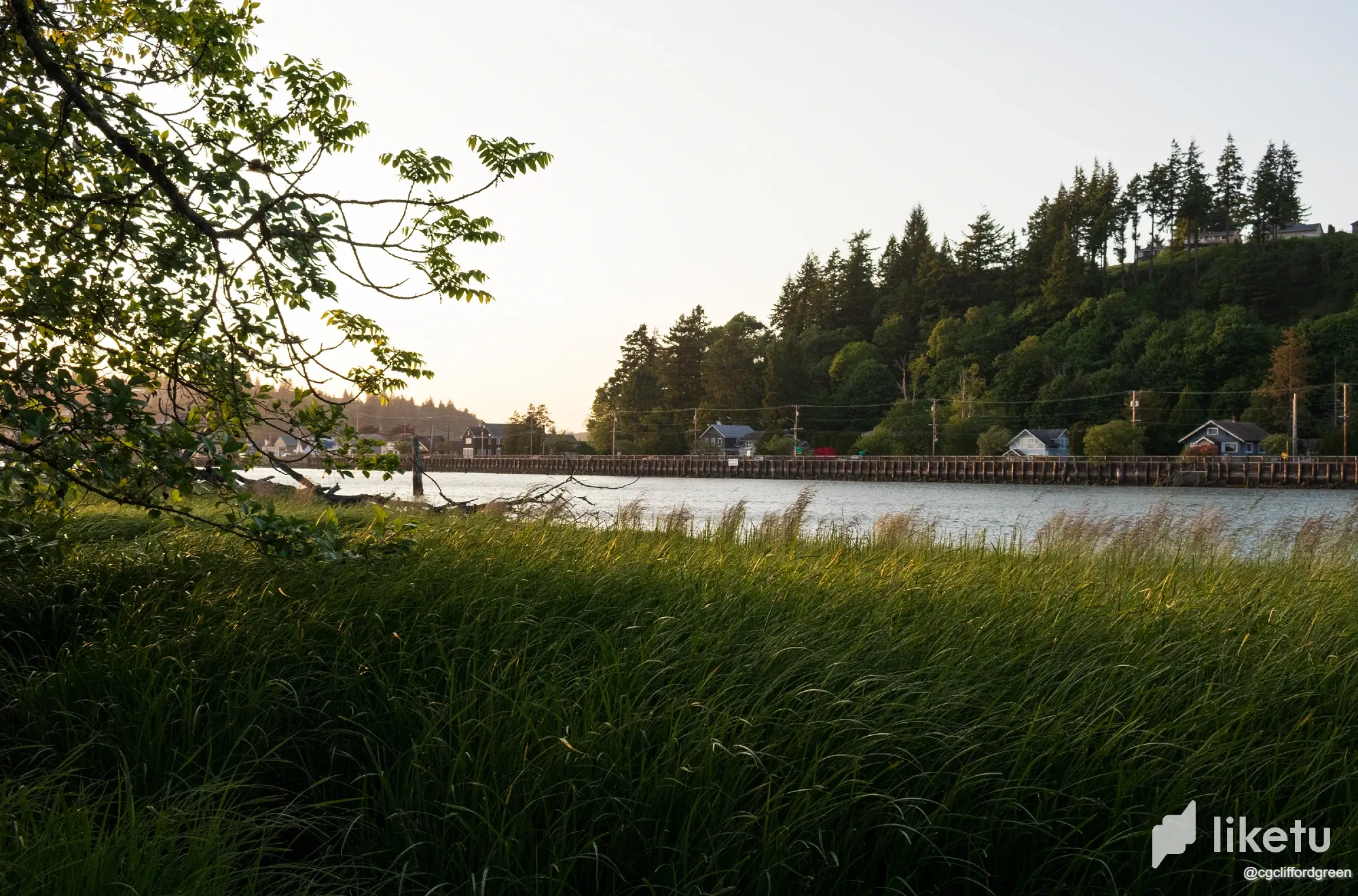 WbgRFObSPnmIs0n1_IMG_4077a.webp