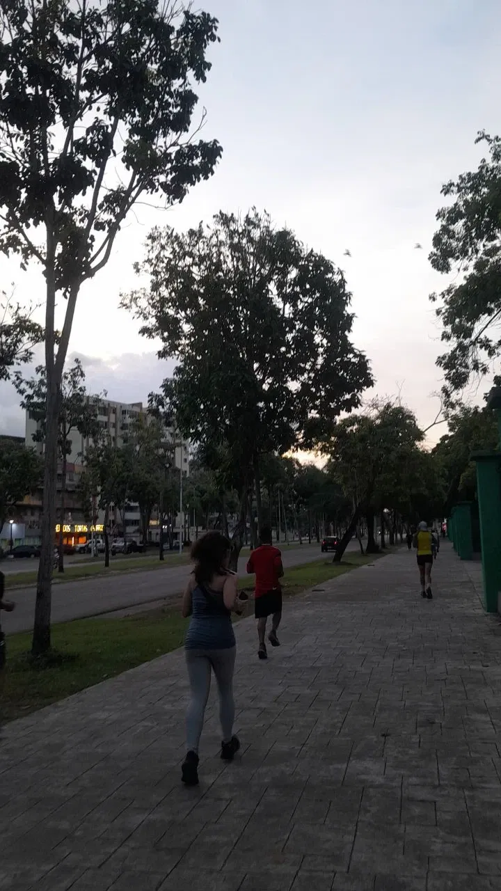 bcEgM0YZGaKB1CAl_IMG_20250817_164621_280.webp