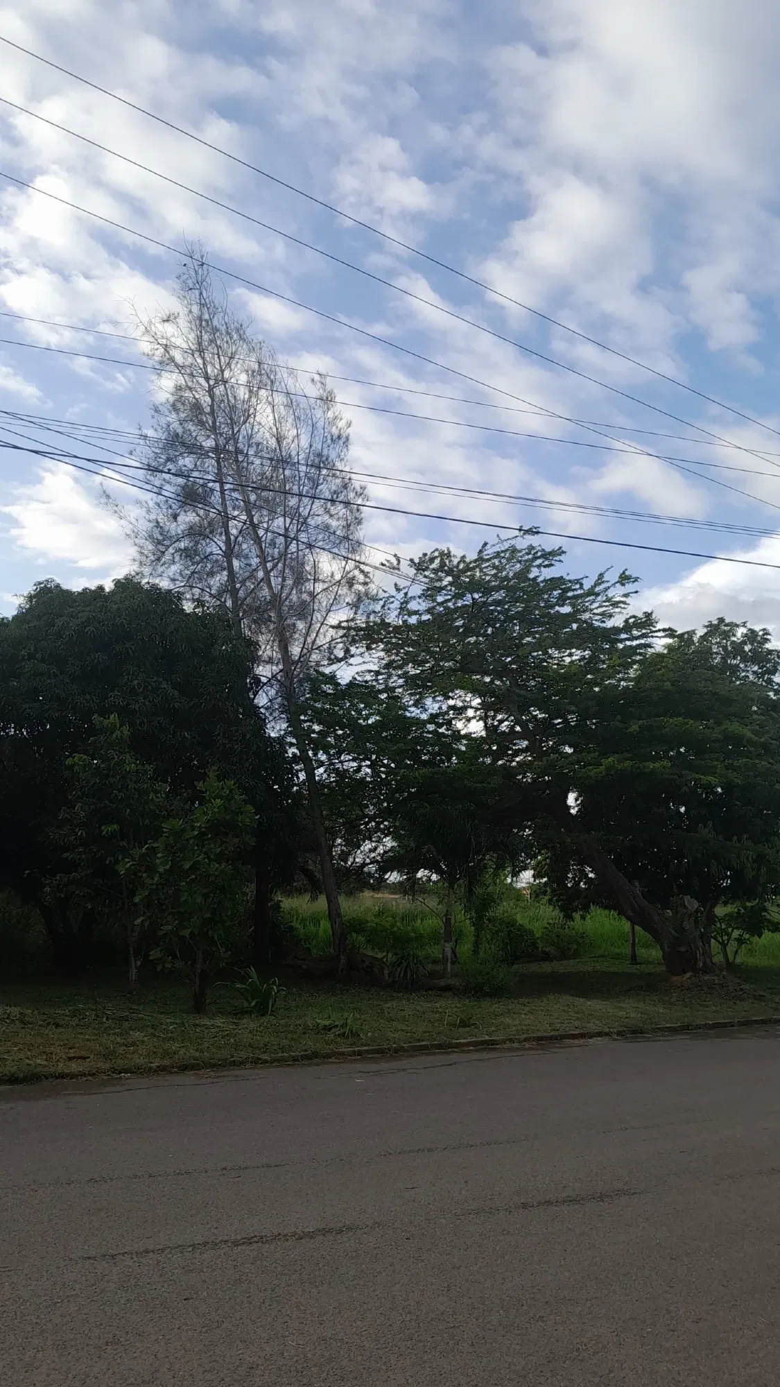 tC2d24FbXJjUiBqD_IMG-20250803-WA00451.webp