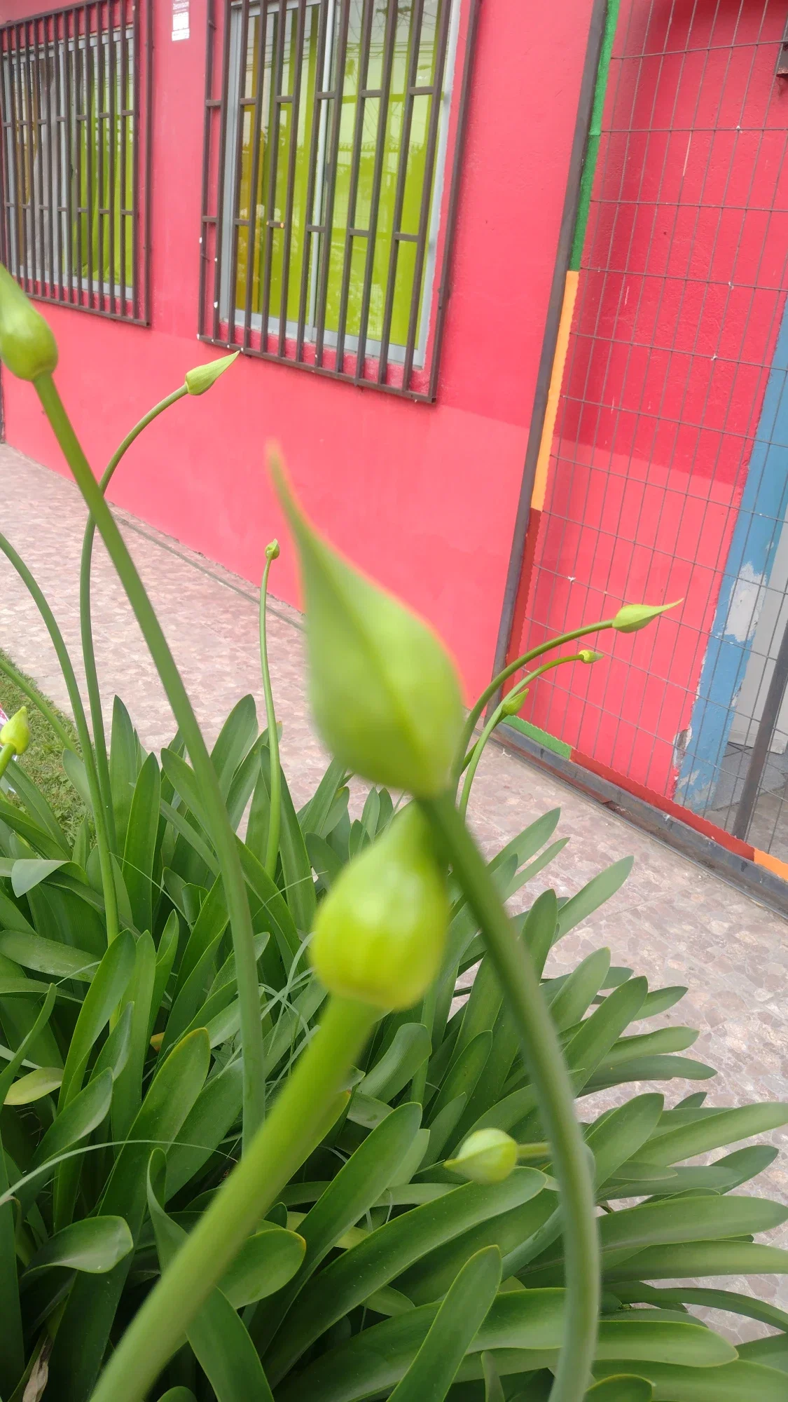 8DYRUbMg80rfcwoi_194622.webp