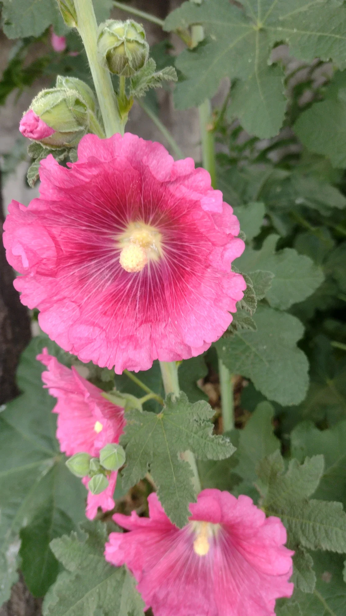 qGkB3uHe9I090xbS_194630.webp