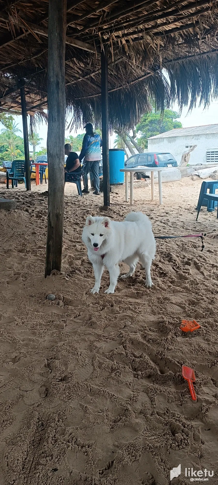 lmSyEUTcTbr9lHOu_IMG_20250629_134416.webp