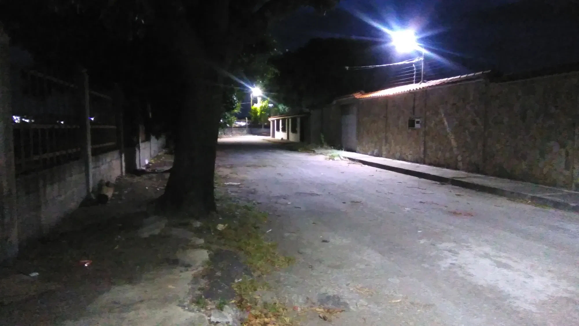 vacRSvg5ljdOothz_IMG_20250907_190946.webp