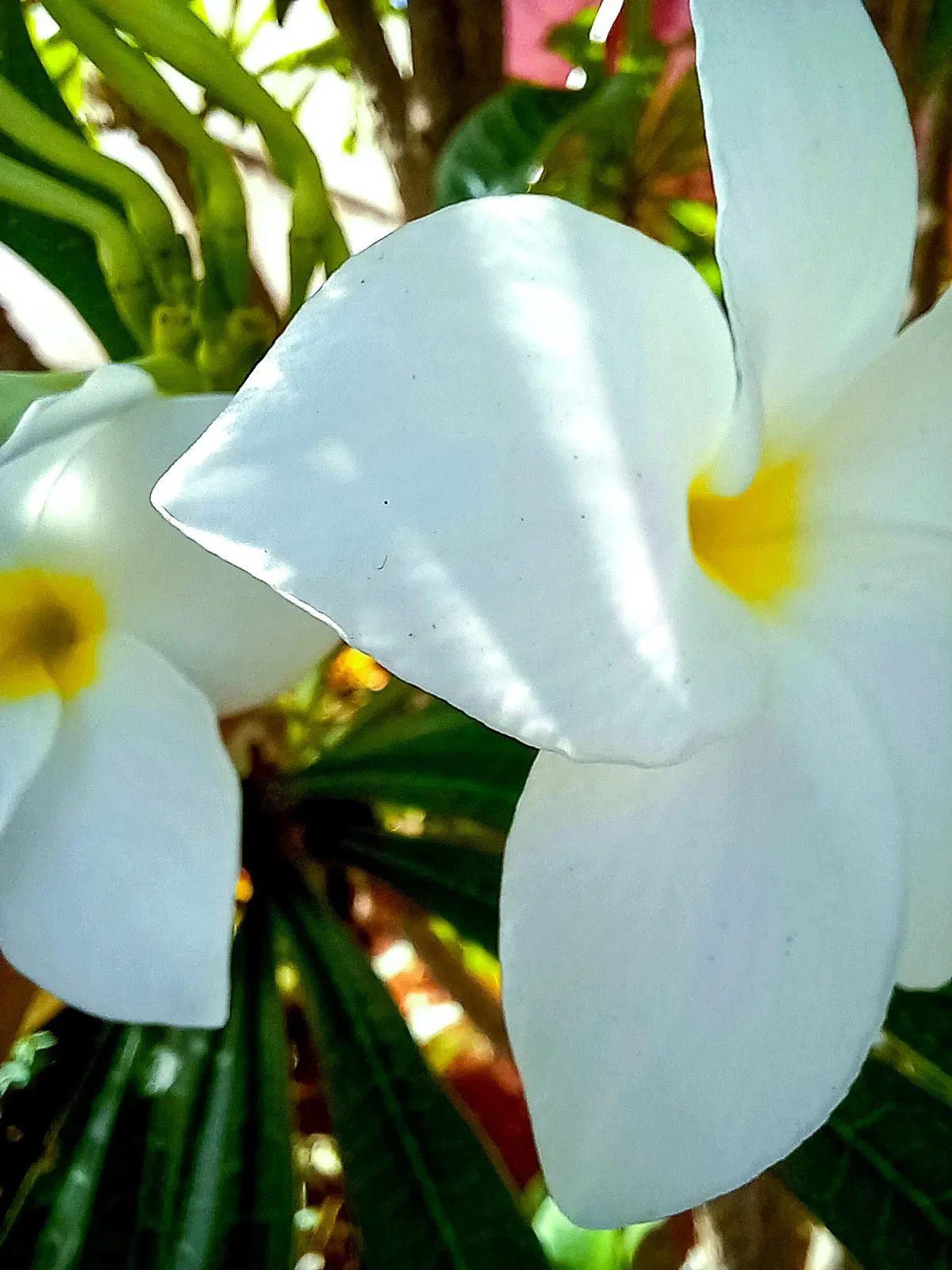 WHRjgU7BrKtr4daz_20250826_101530.webp