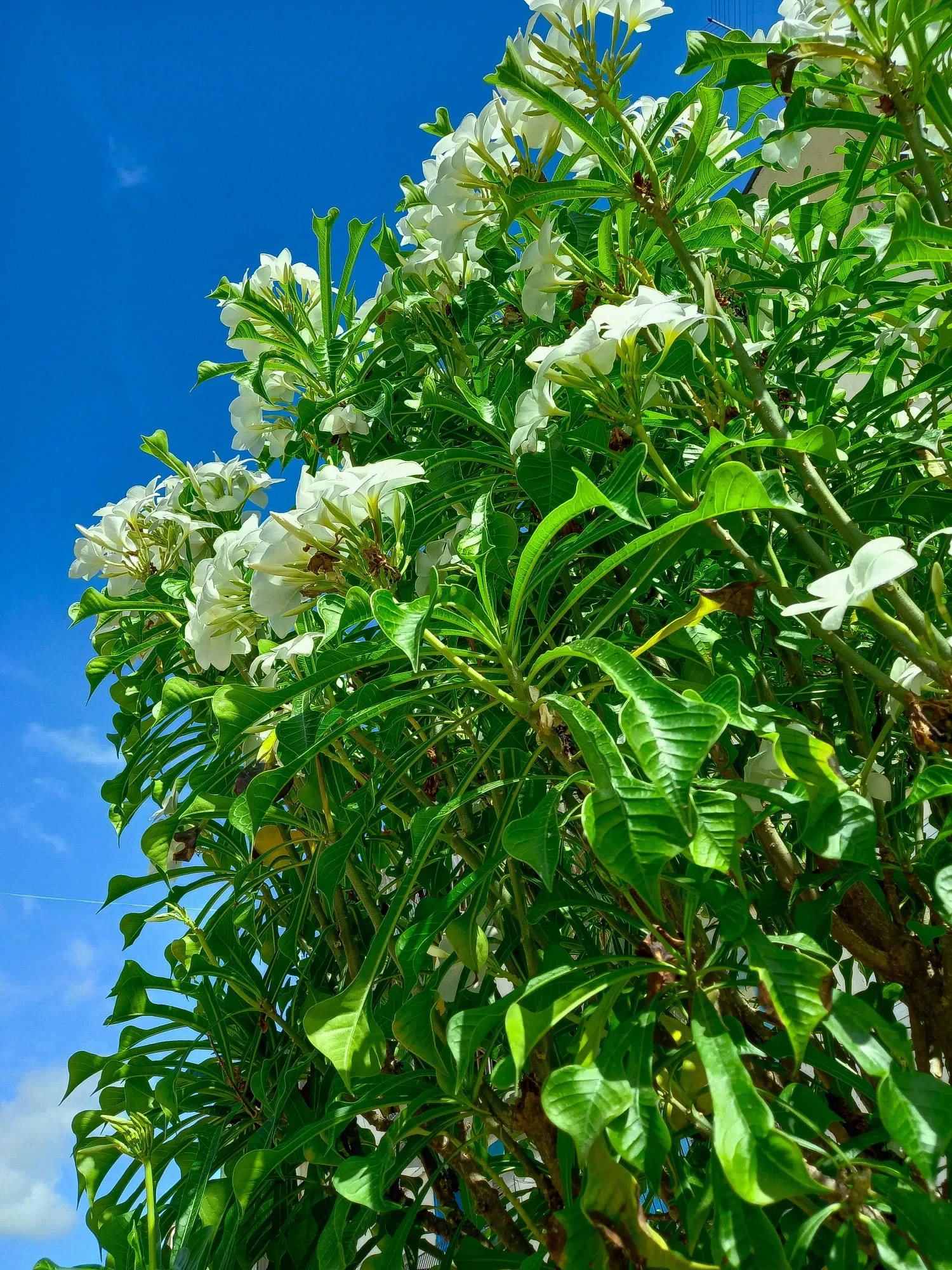 bGbayAZMOvPaYREh_20250826_101811.webp