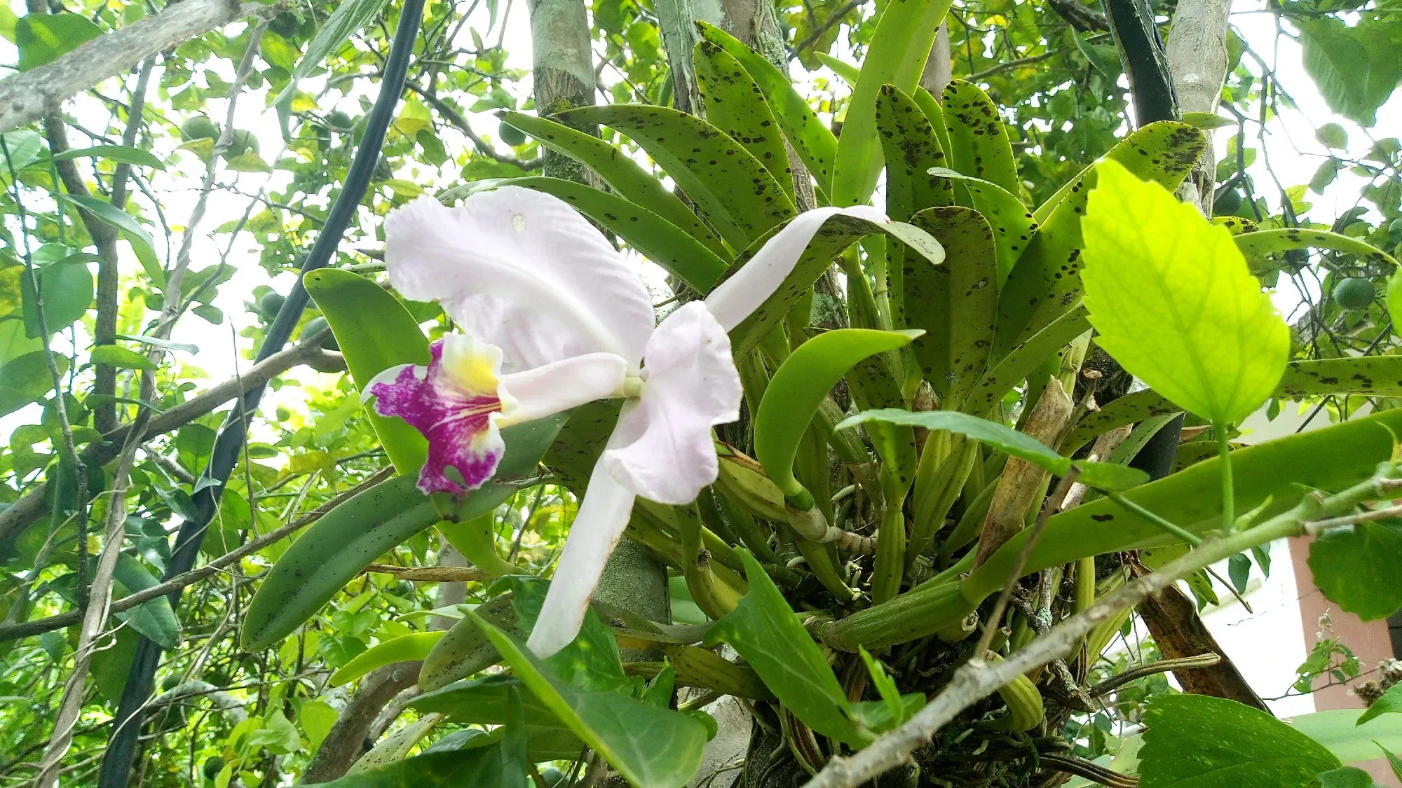 TA0MBj3eqnRSE16x_IMG-20250806-WA0012.webp