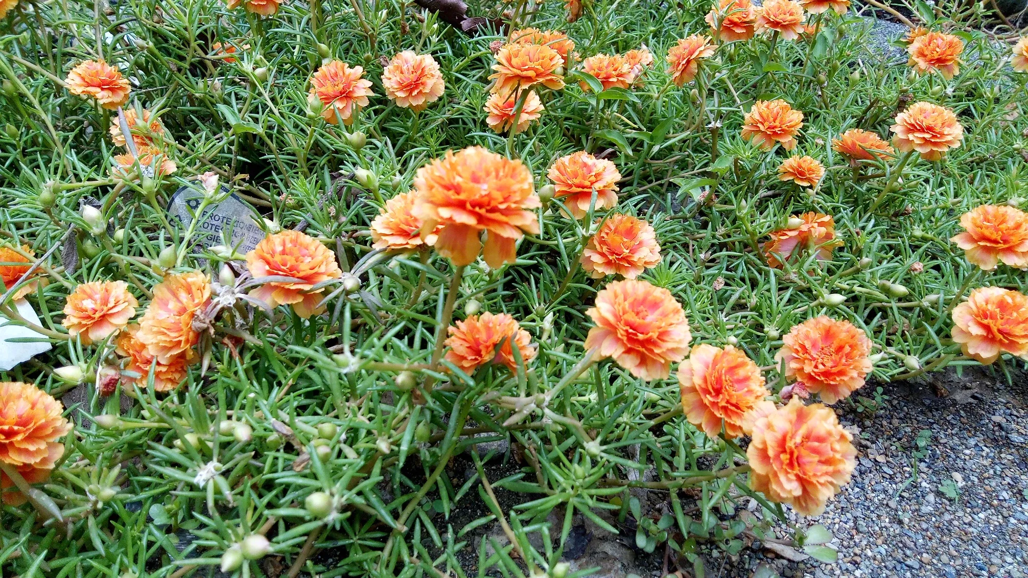 nd2O9dzWUO1P2eWz_IMG-20250806-WA0010.webp