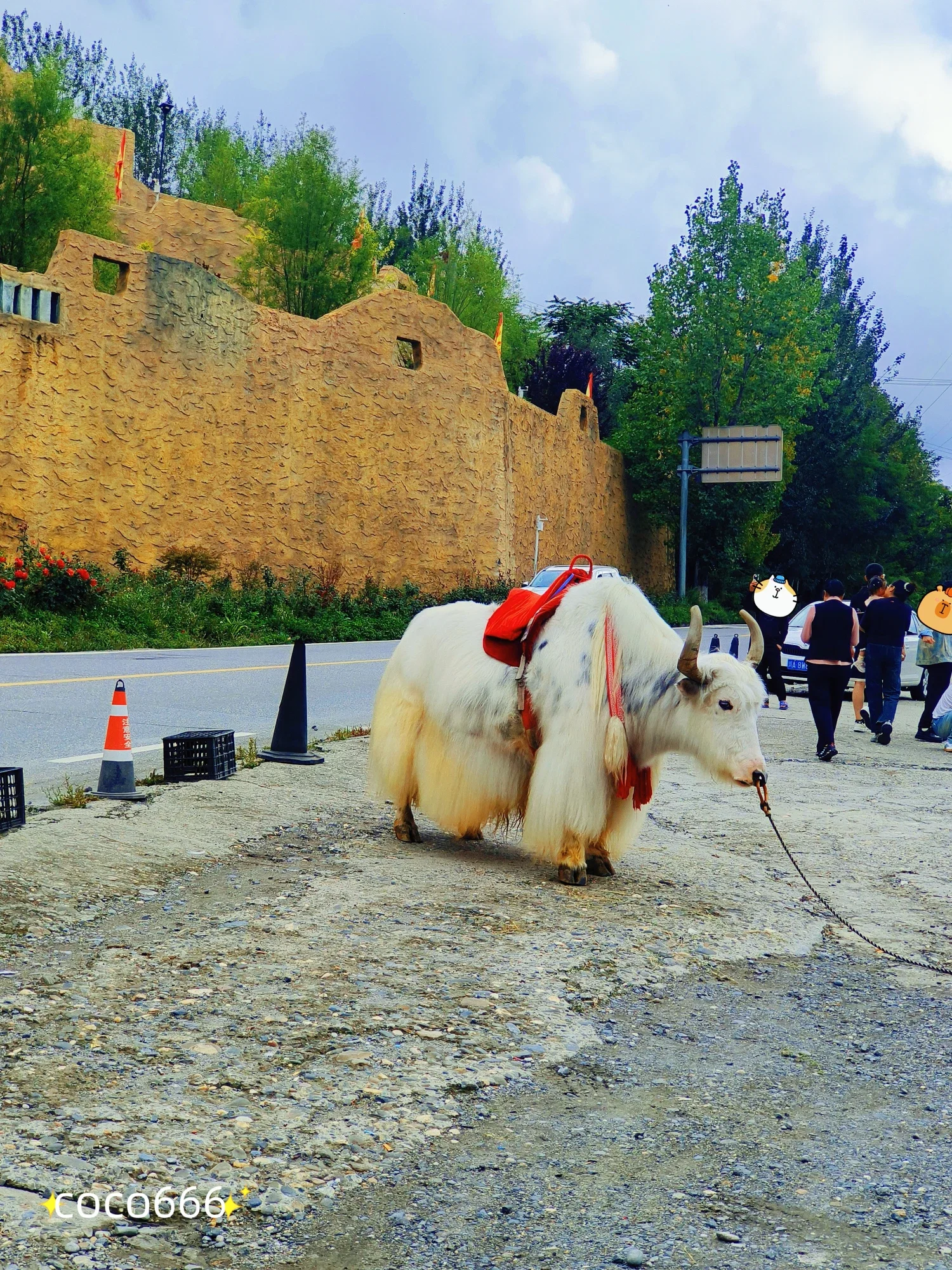 35iDyie8ZxOxmIBD_MEITU_20251024_194921293_batch_0_1761306716583.webp