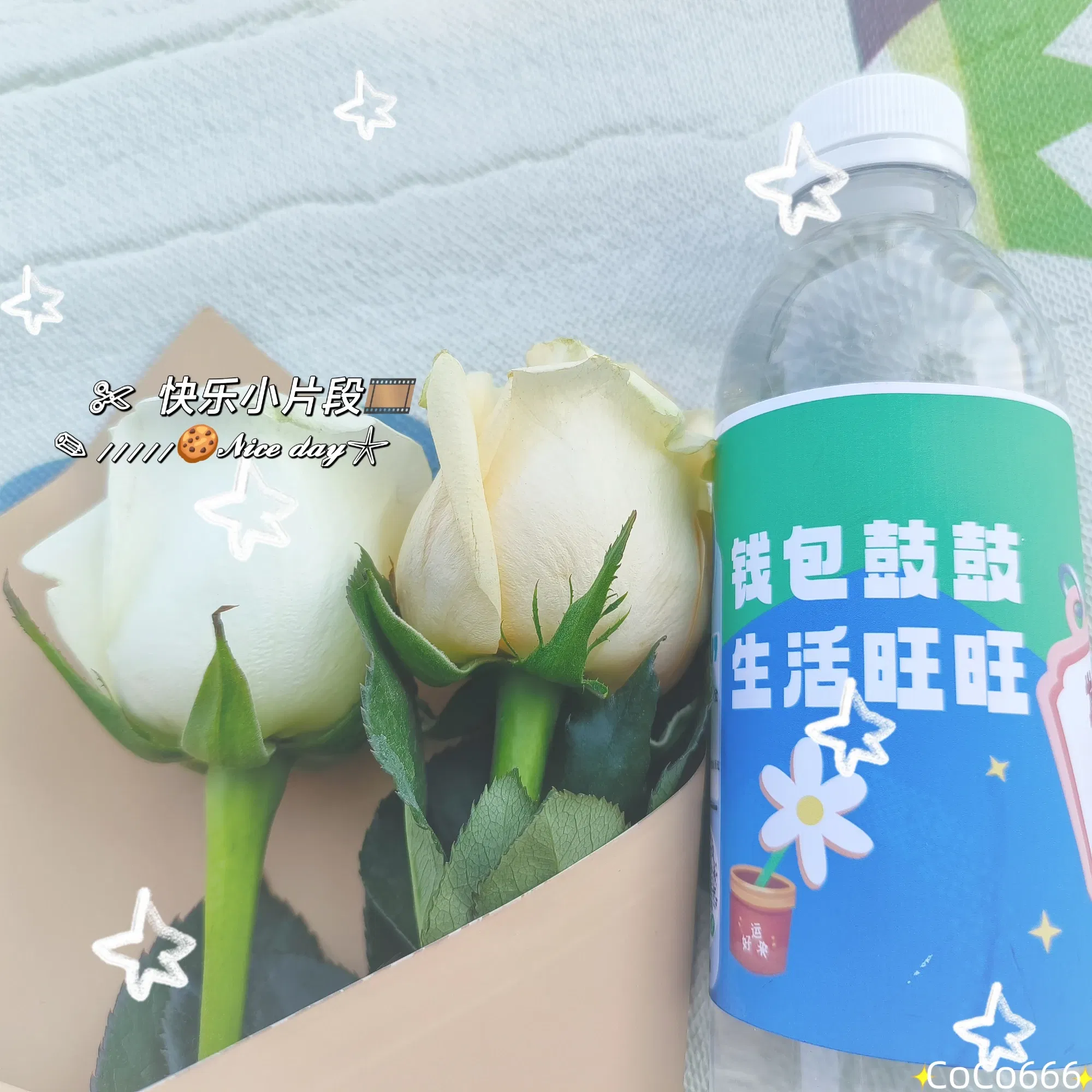T2V700sPY39rKjLF_MEITU_20250416_215604501_batch_2_1744811794357.webp