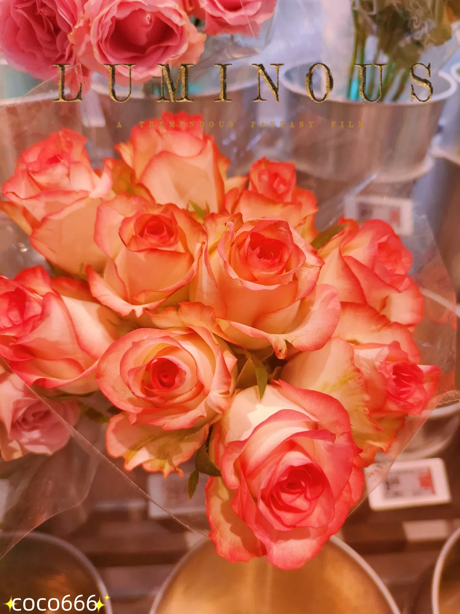 XZZwFWlXDHA2feBY_MEITU_20250711_224657996_batch_1_1752245301361.webp